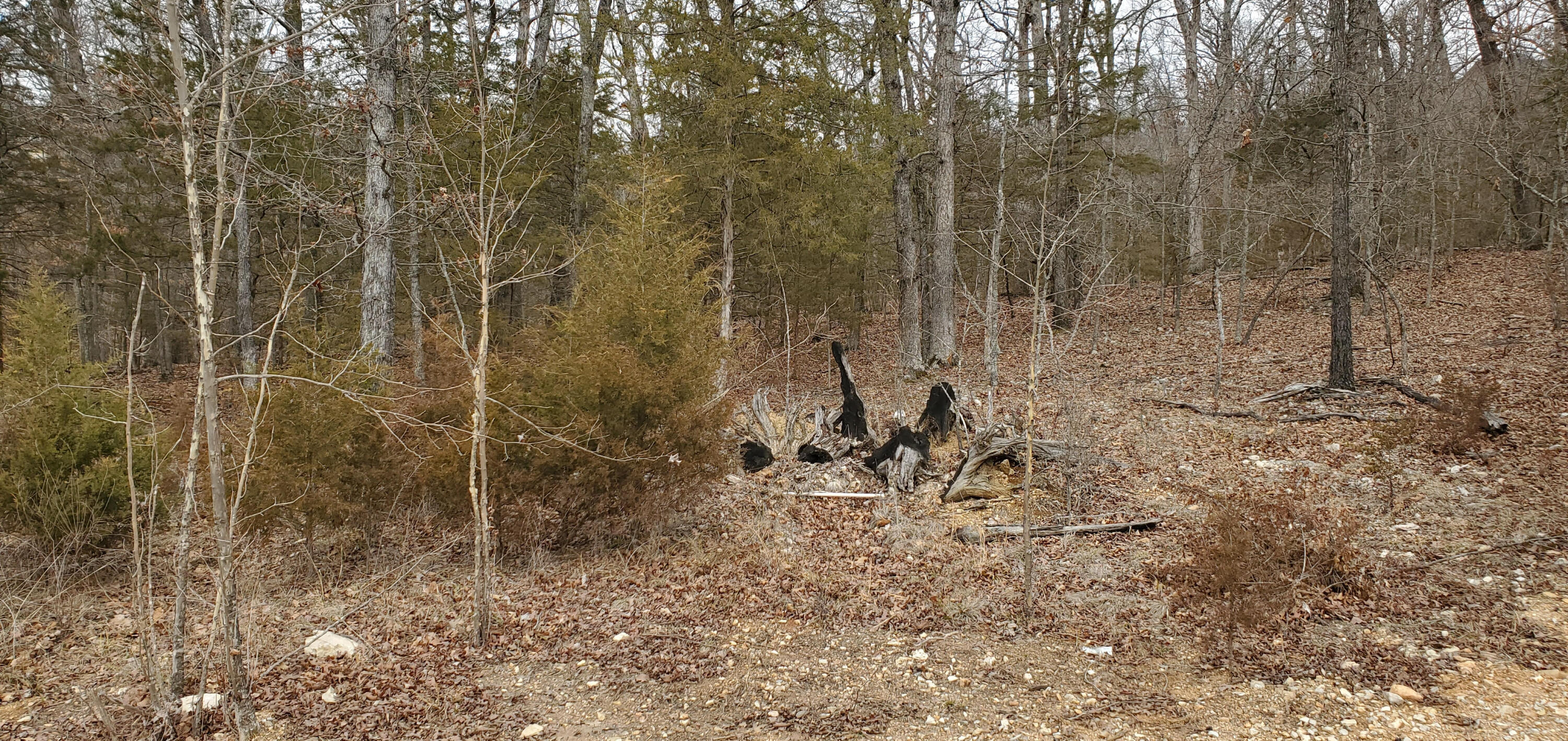 000 Lot 97 Summer Breeze Lane Property Photo 1