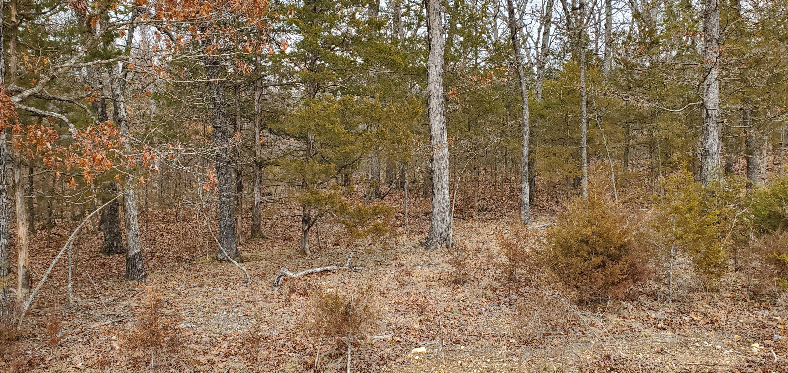 000 Lot 97 Summer Breeze Lane Property Photo 2