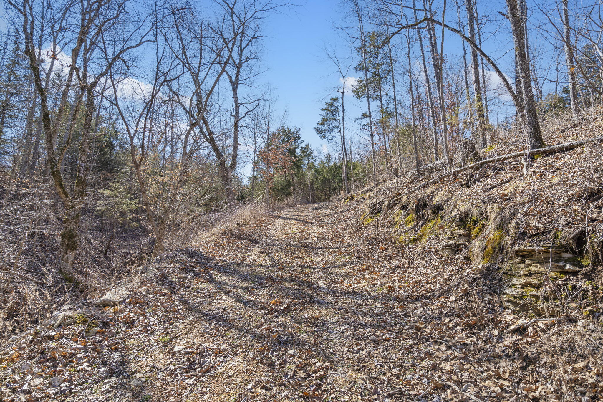 Lot 6 Seveno Ridge Property Photo 7