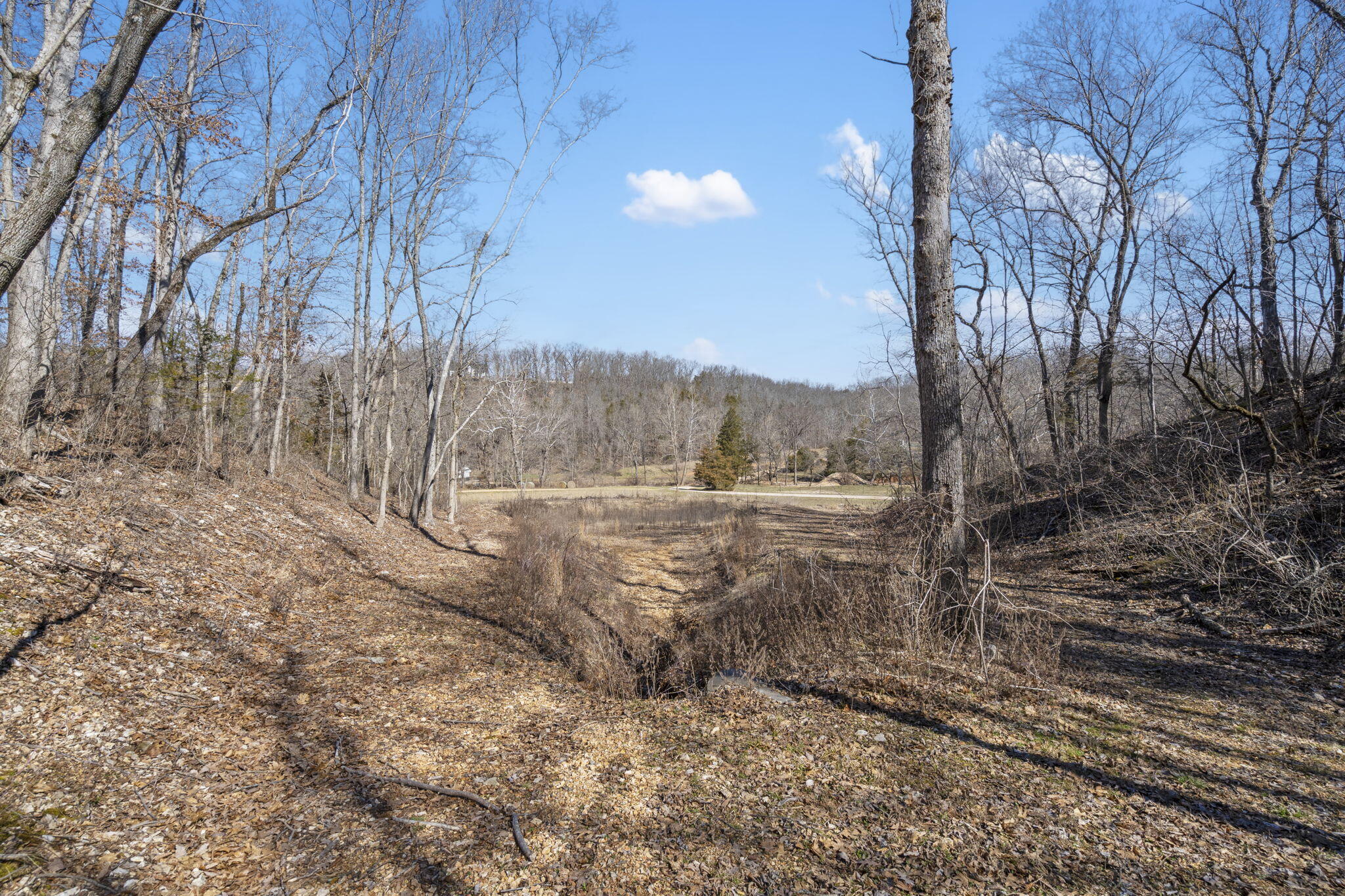 Lot 6 Seveno Ridge Property Photo 8