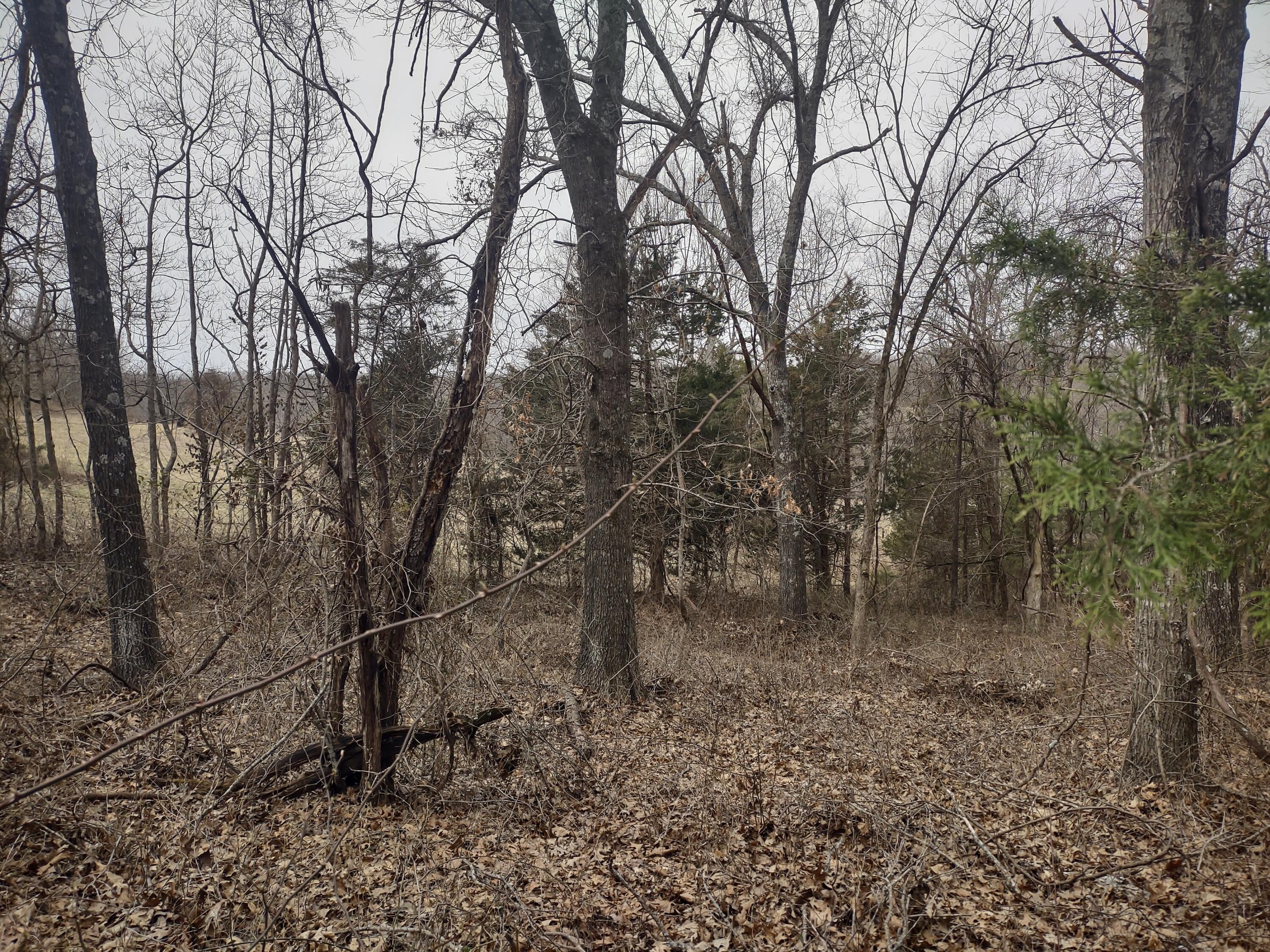 20 Acres North Carroll Road Property Photo 8