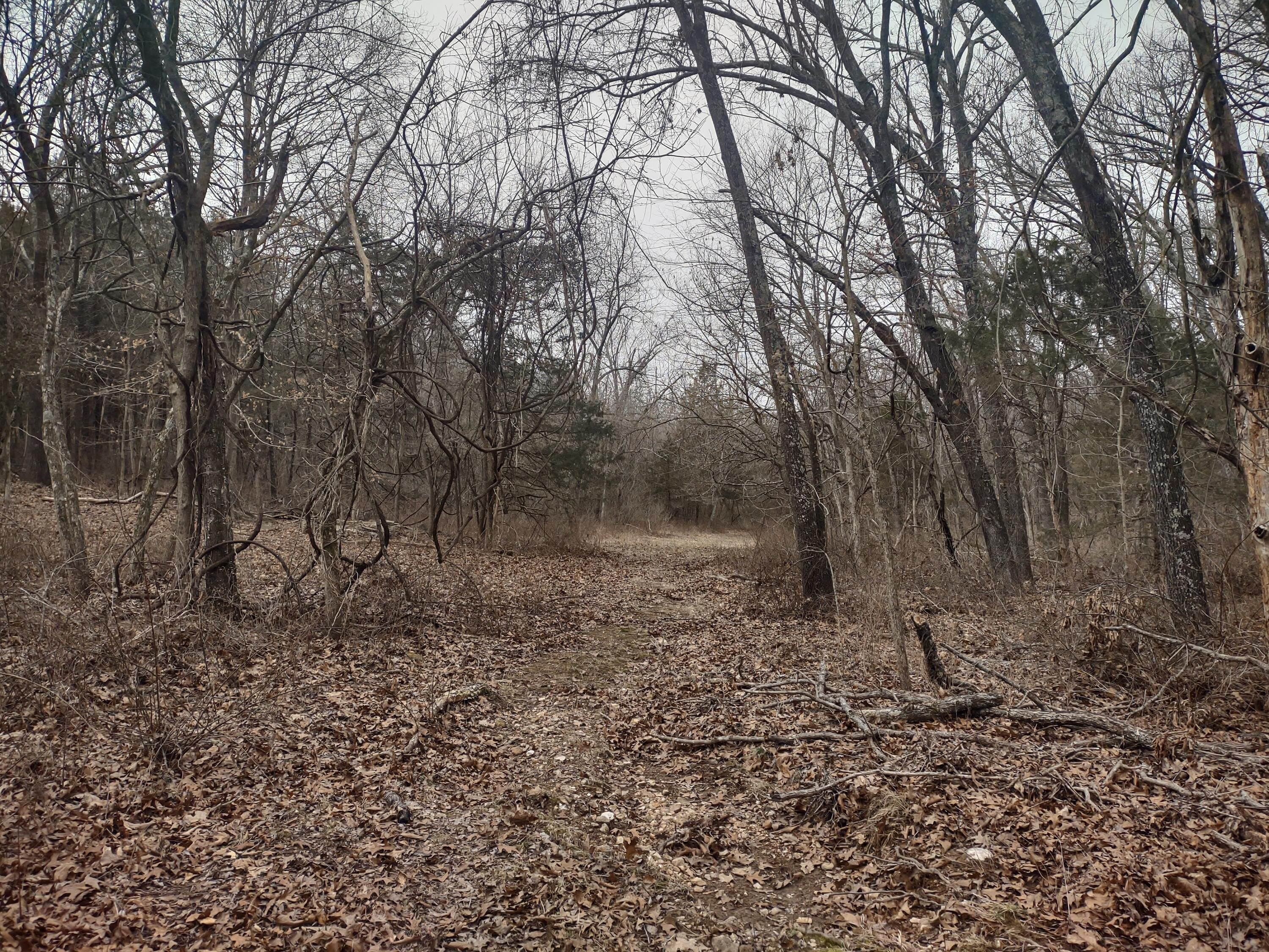 20 Acres North Carroll Road Property Photo 16