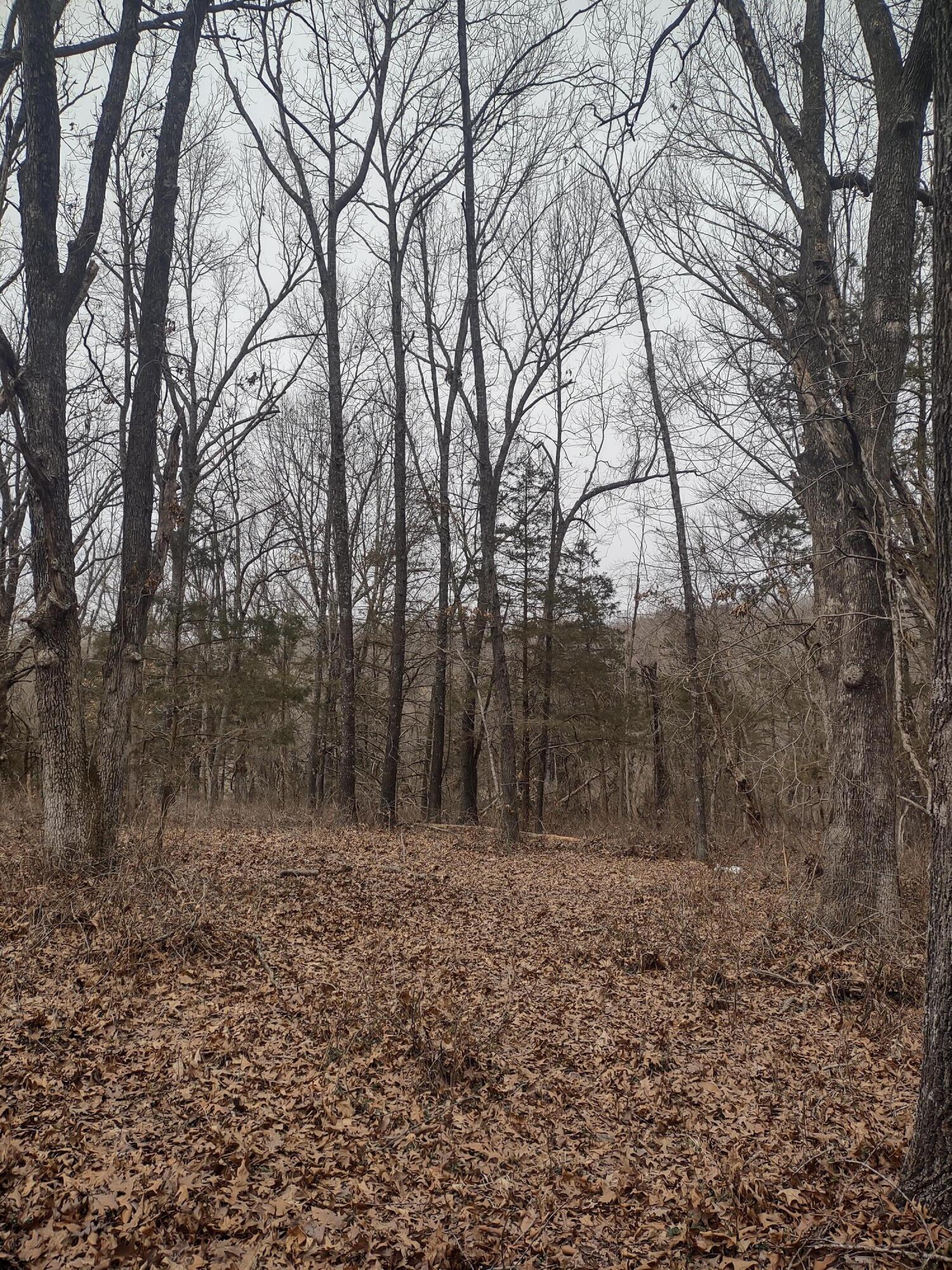 20 Acres North Carroll Road Property Photo 6