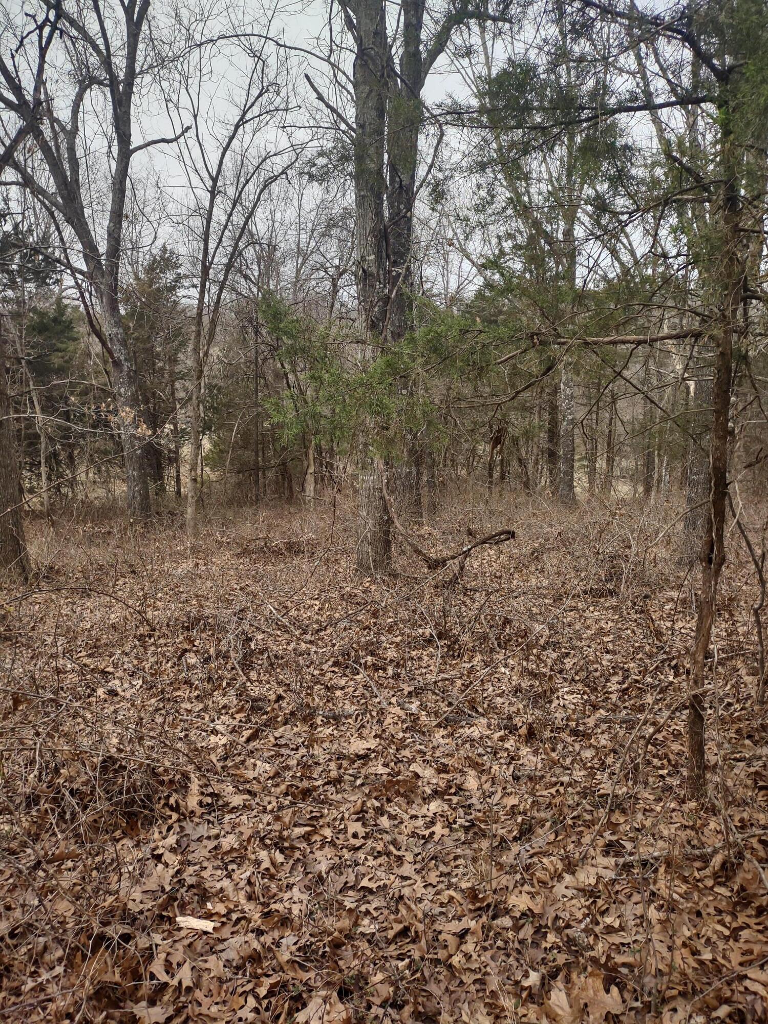 20 Acres North Carroll Road Property Photo 11