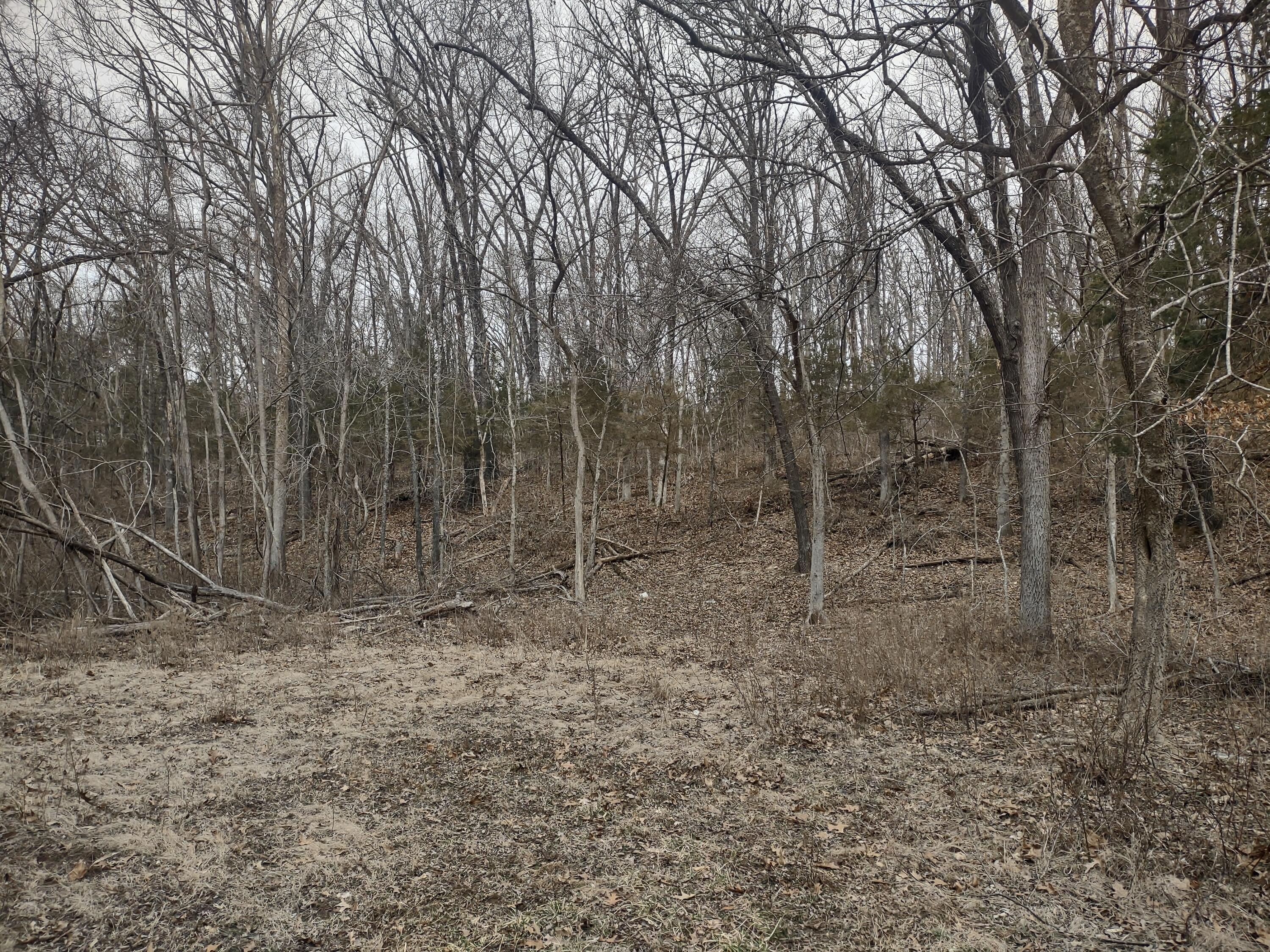 20 Acres North Carroll Road Property Photo 12