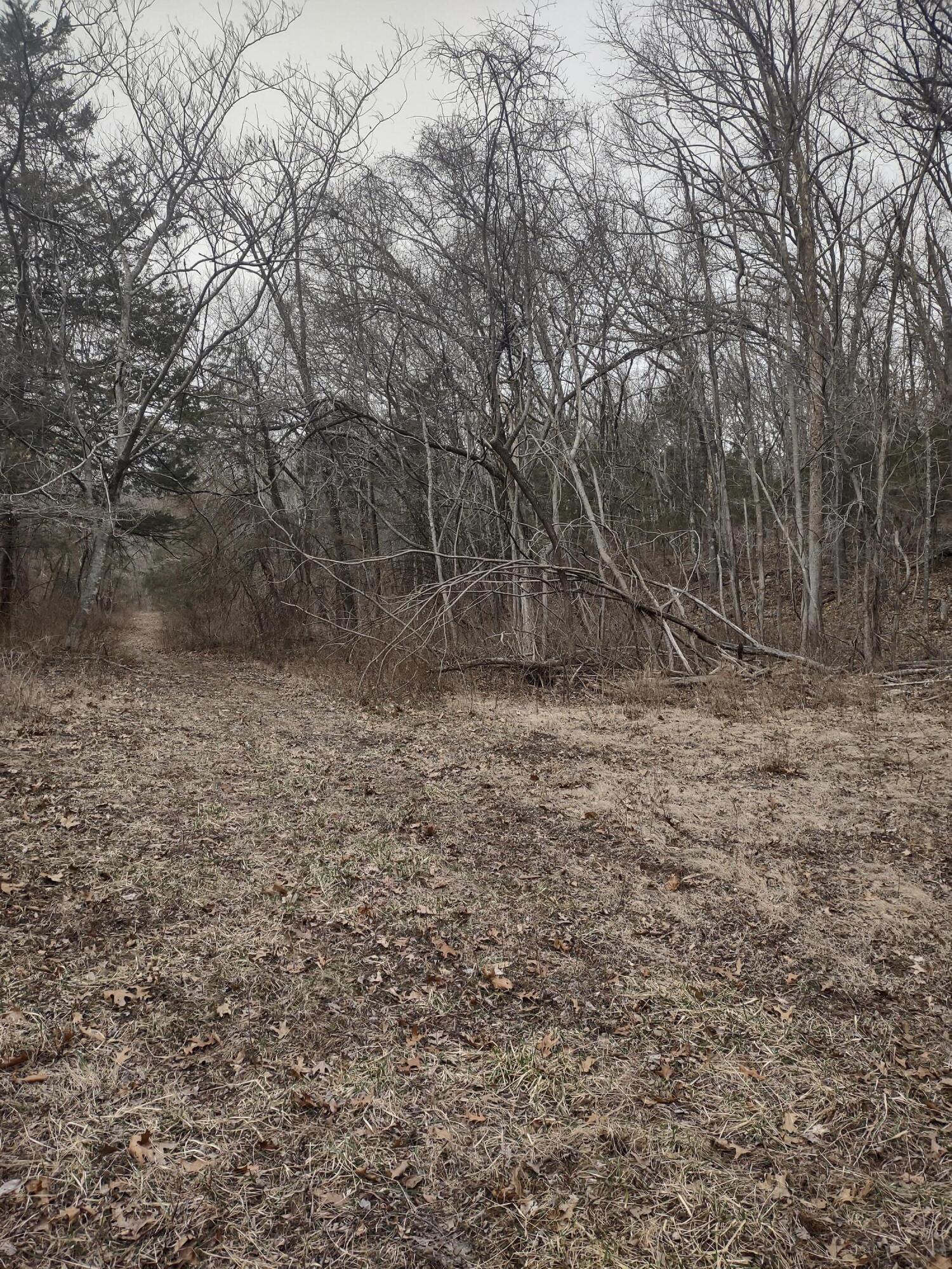 20 Acres North Carroll Road Property Photo 13