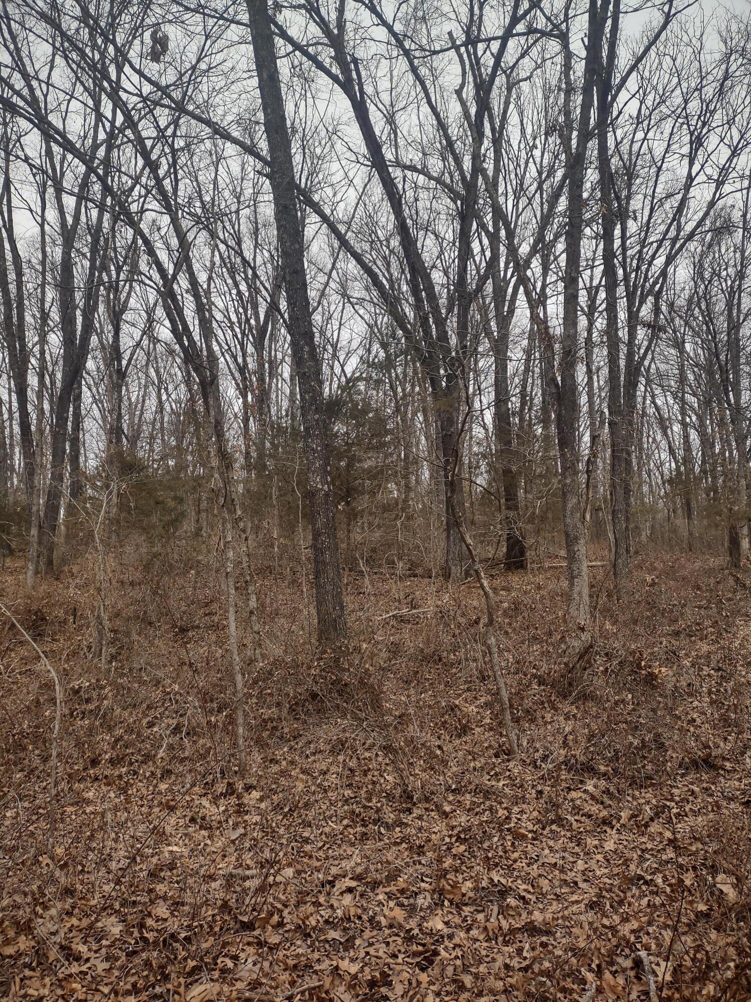 20 Acres North Carroll Road Property Photo 14