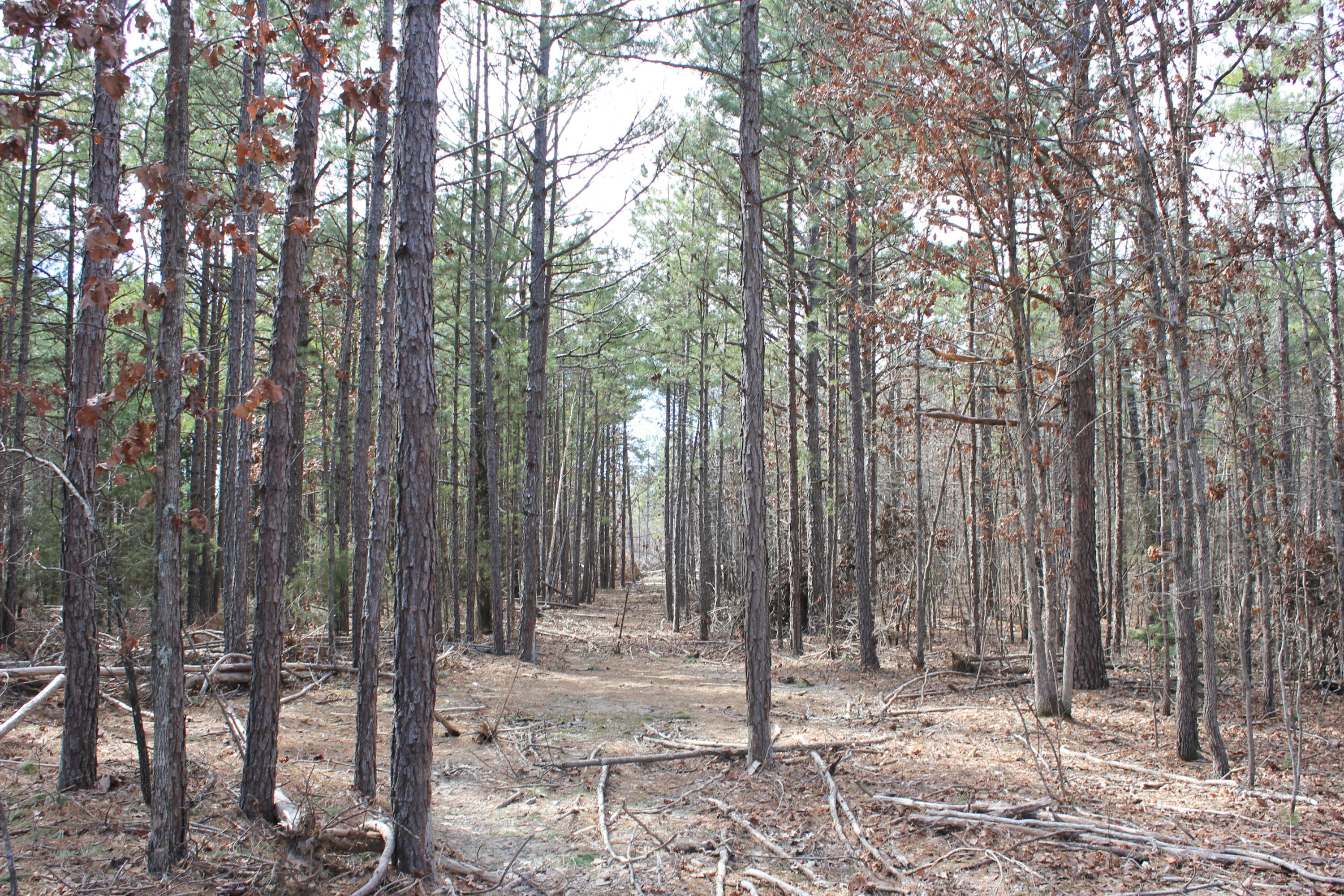 10729 Cr 451 Property Photo 10