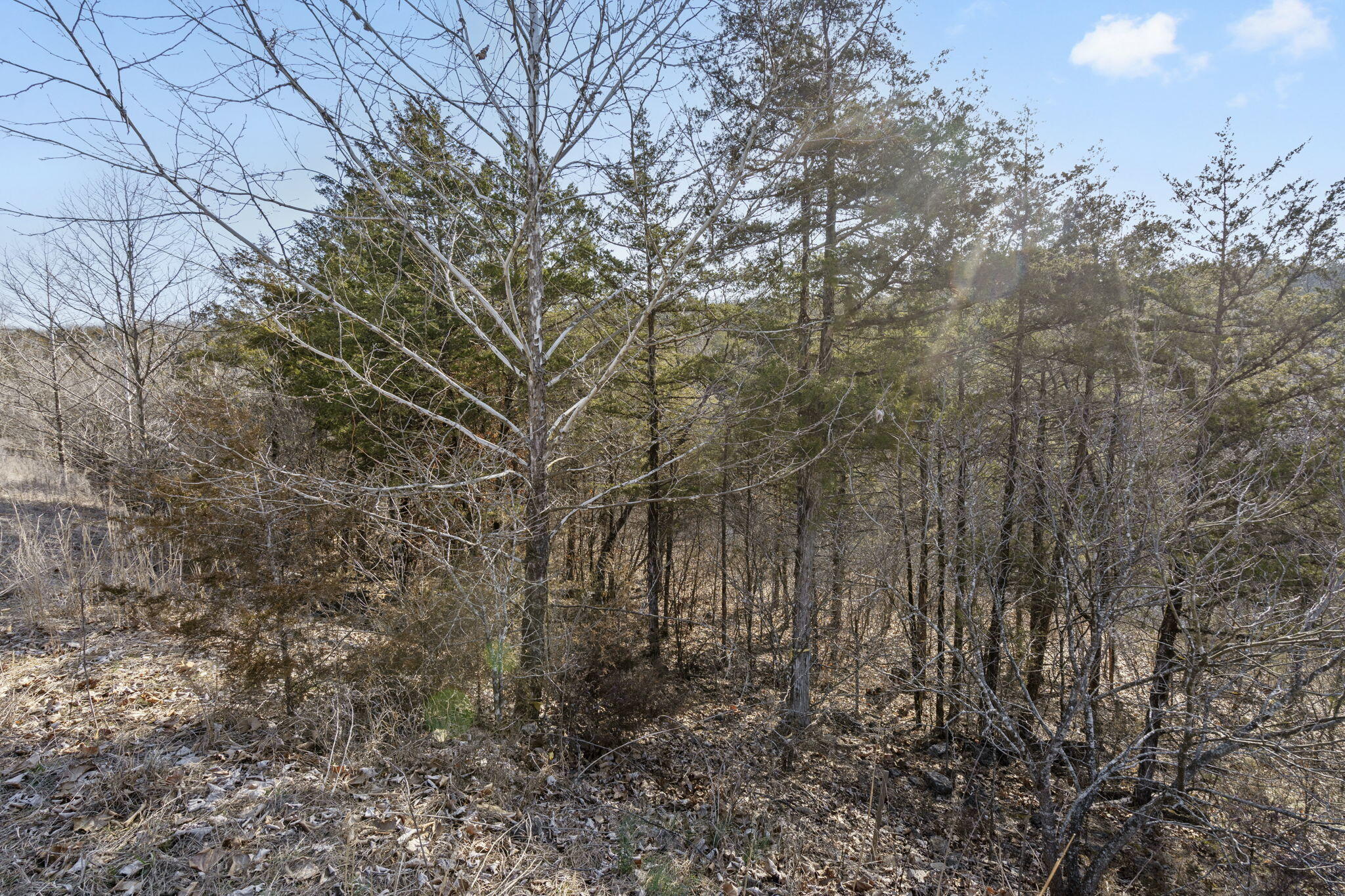 Lot 142 Country Ridge Way Property Photo 5