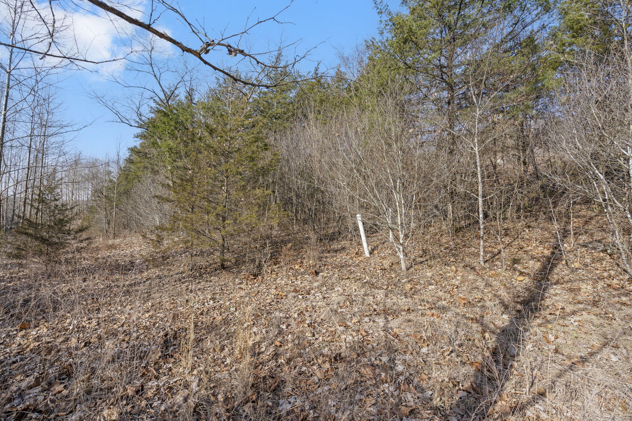 Lot 142 Country Ridge Way Property Photo 6