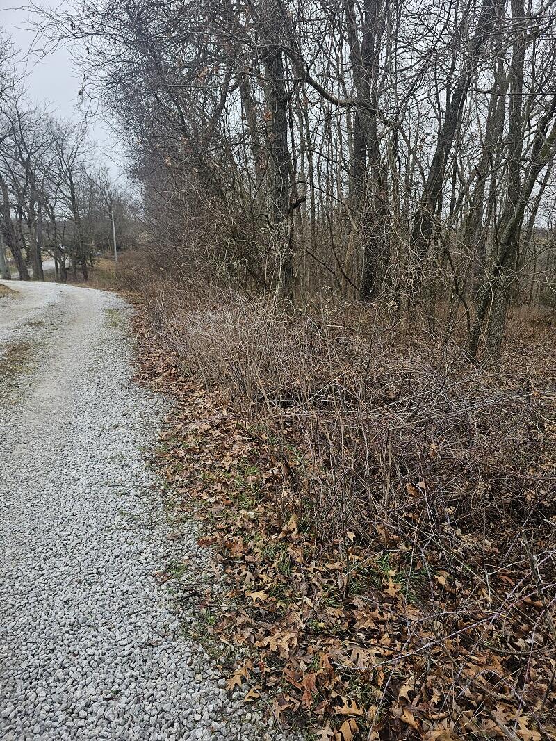 Tbd Union Ridge Drive Property Photo 4