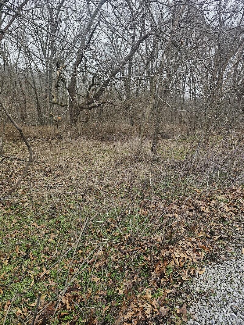 Tbd Union Ridge Drive Property Photo 6