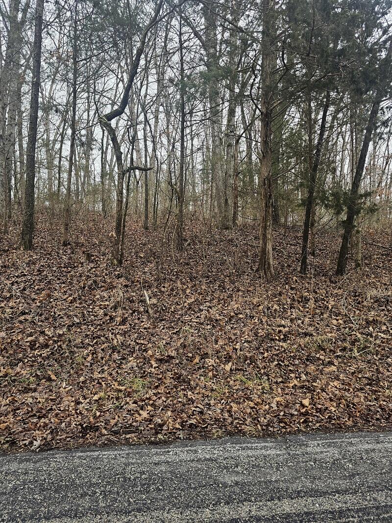 Tbd Union Ridge Drive Property Photo 8