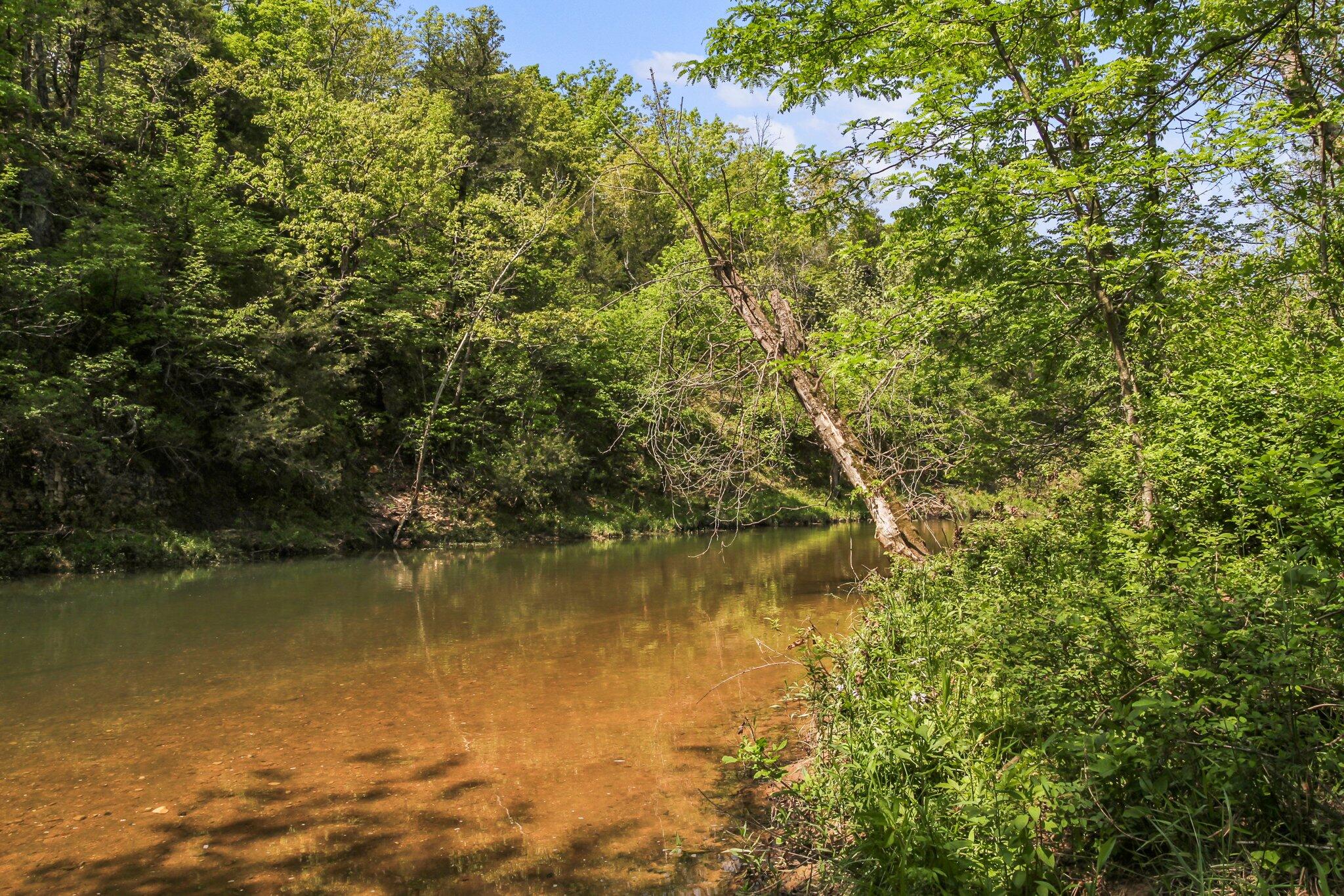 Property Photo 41