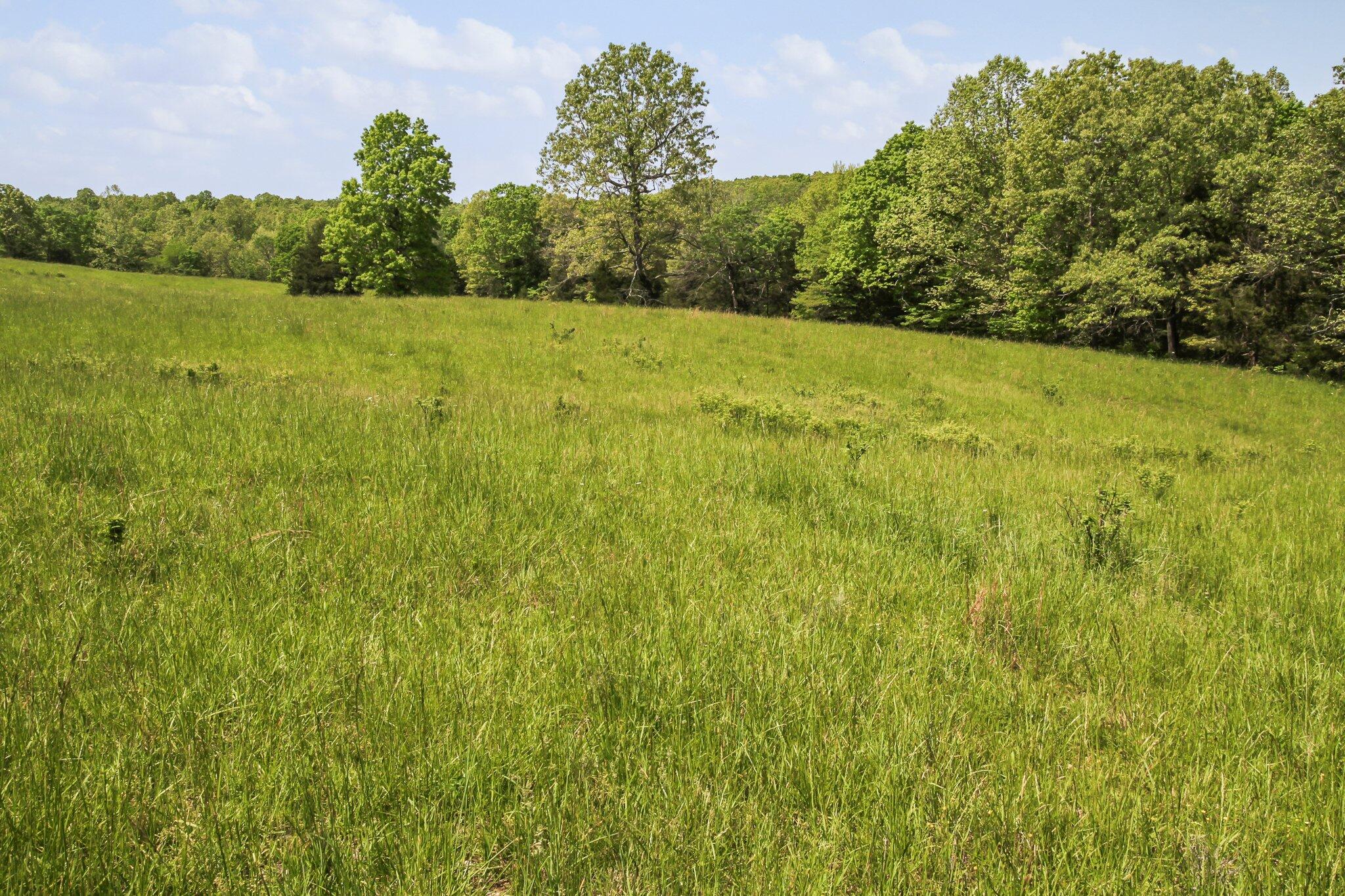 Property Photo 45