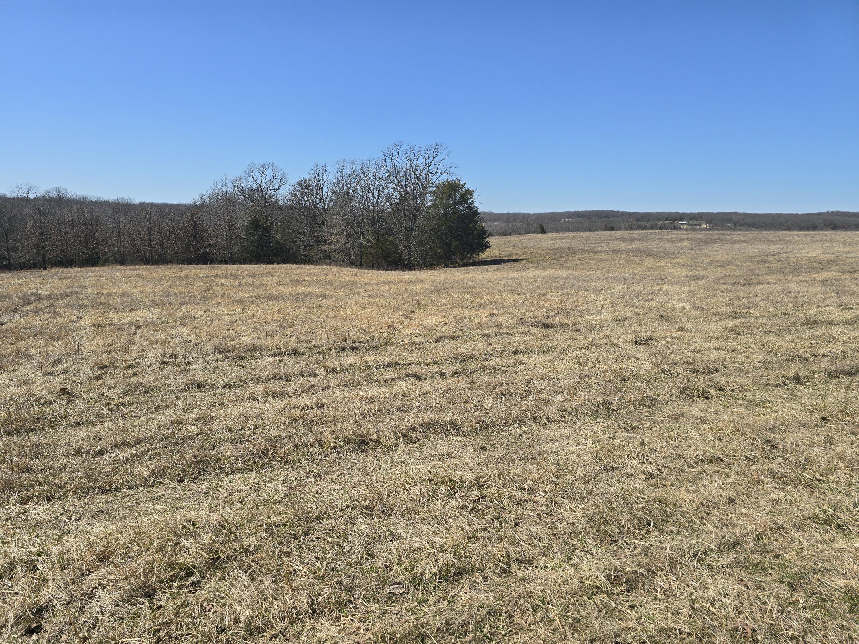000 Tract 4 Highway 72 W Property Photo 3