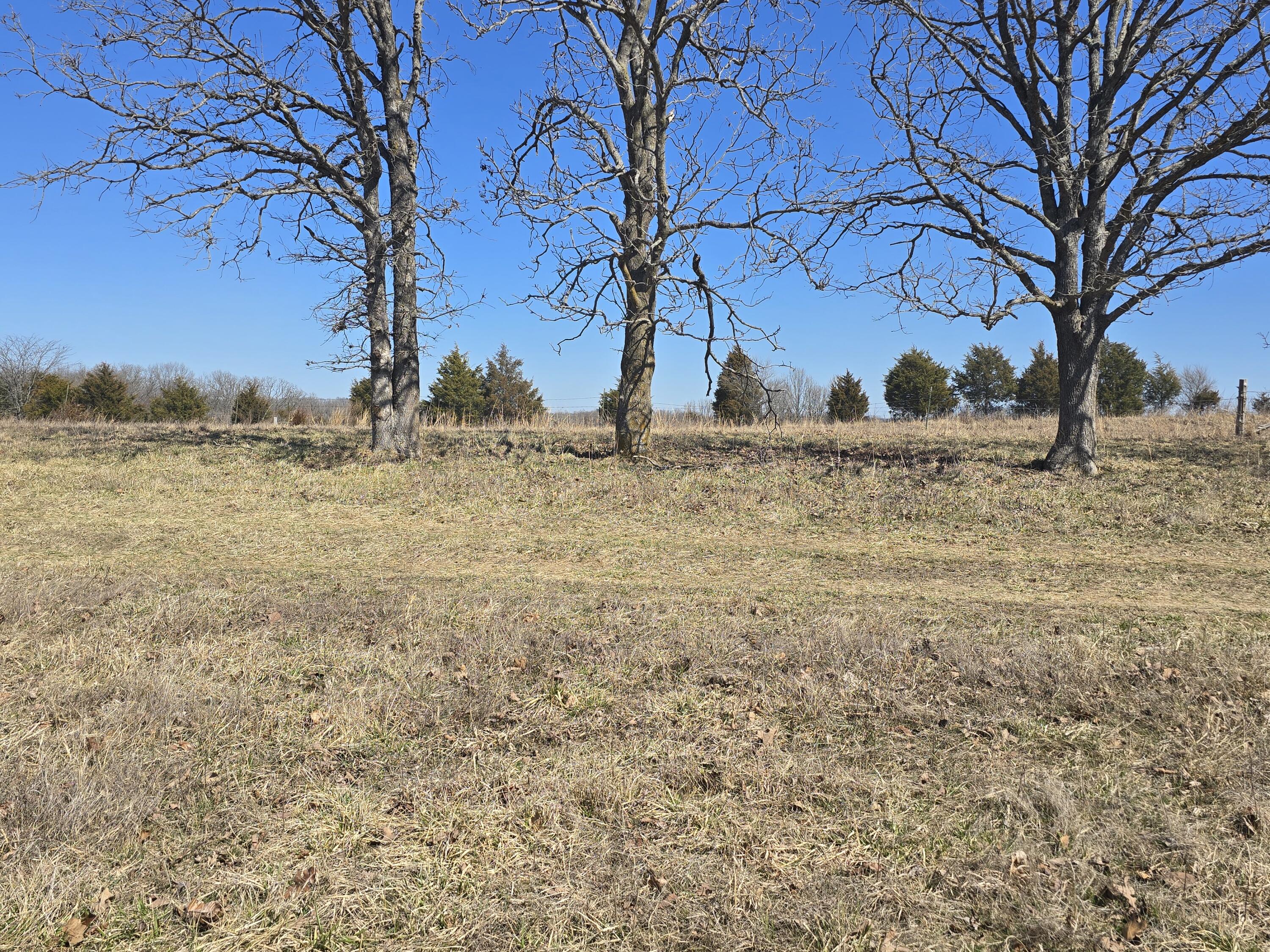 000 Tract 4 Highway 72 W Property Photo 4