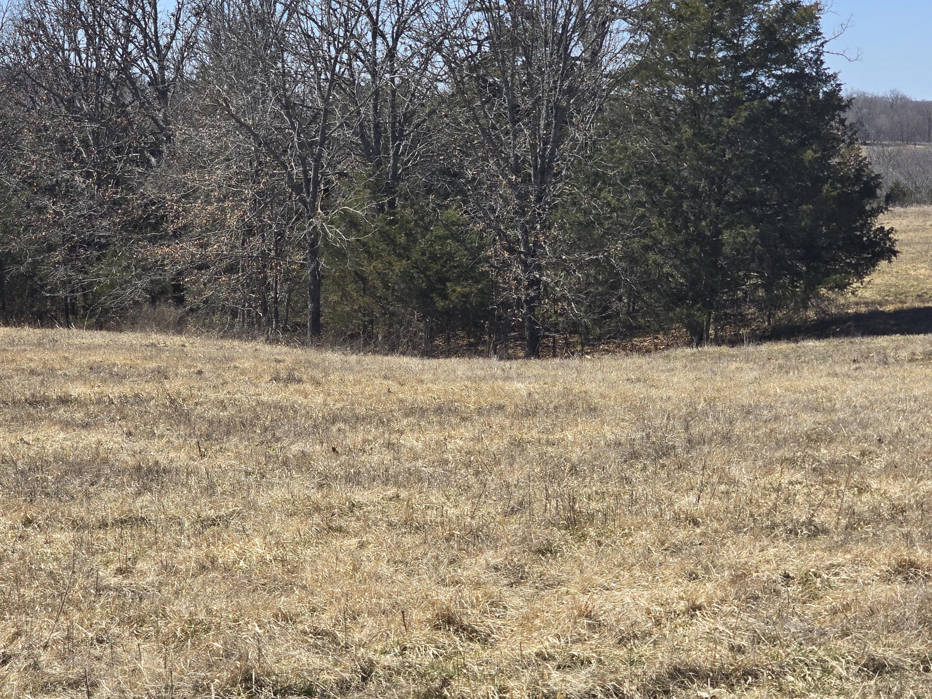 000 Tract 4 Highway 72 W Property Photo 5