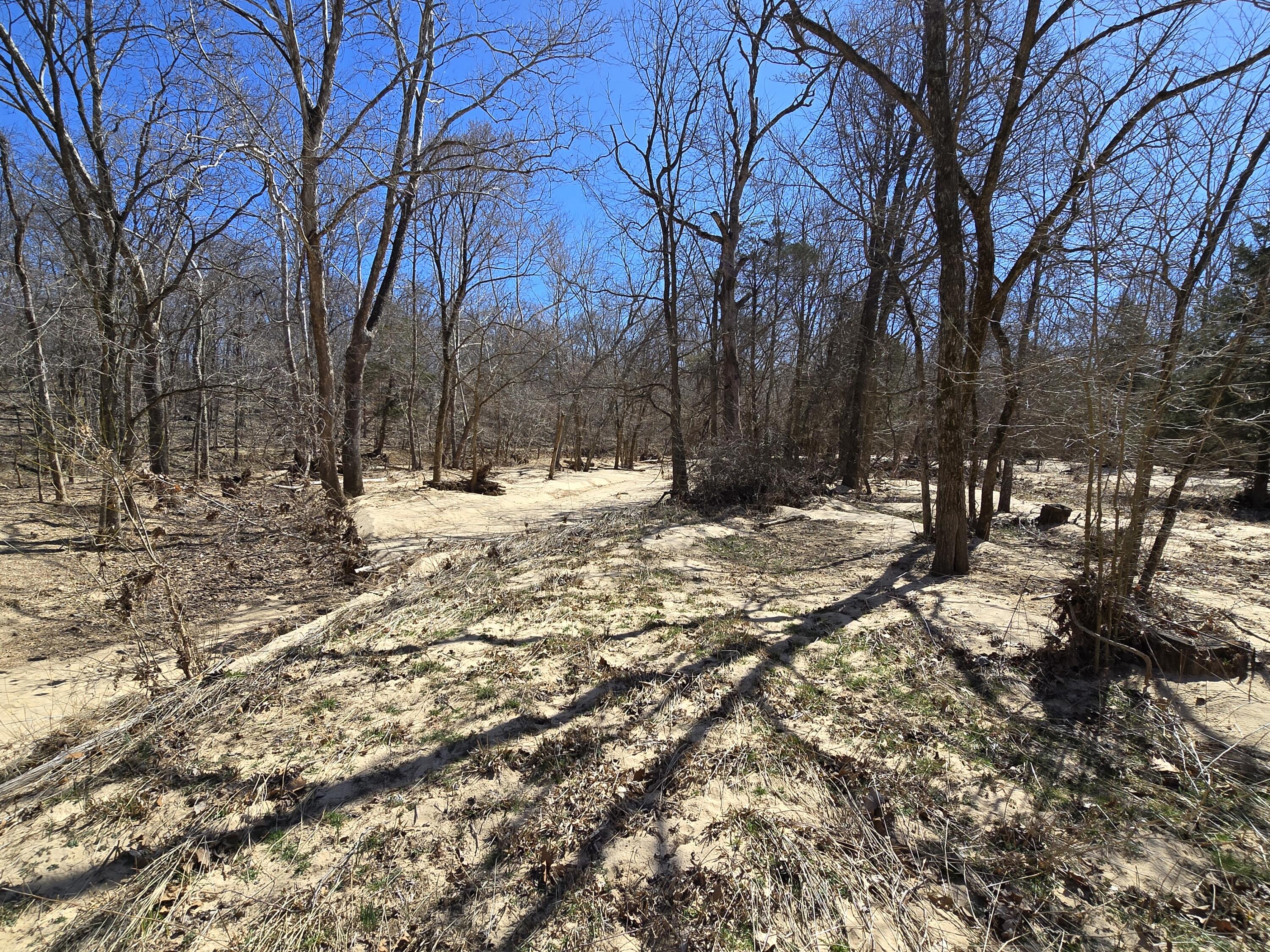 000 Tract 4 Highway 72 W Property Photo 9