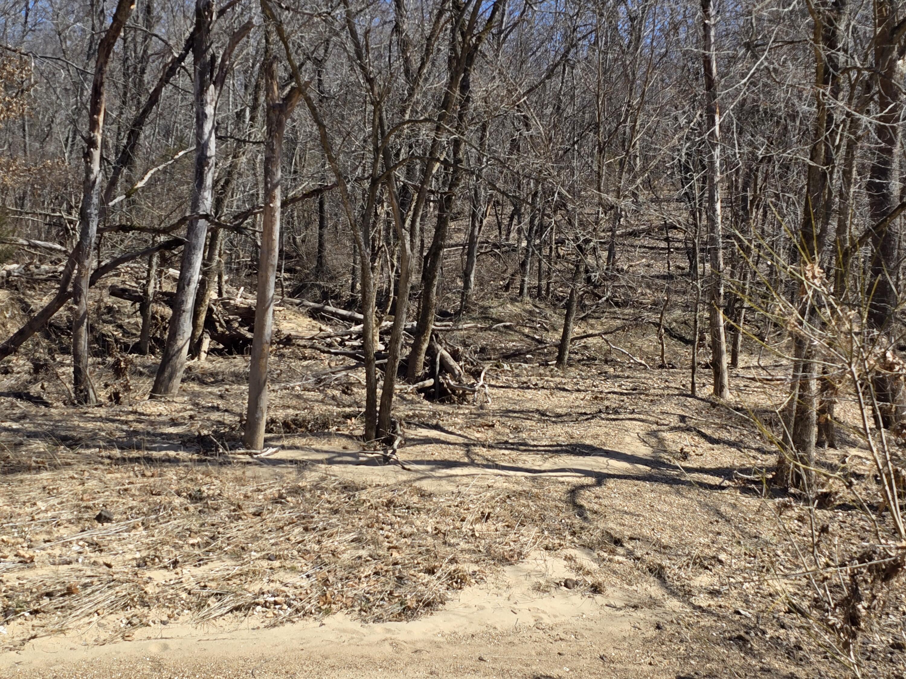 000 Tract 4 Highway 72 W Property Photo 10