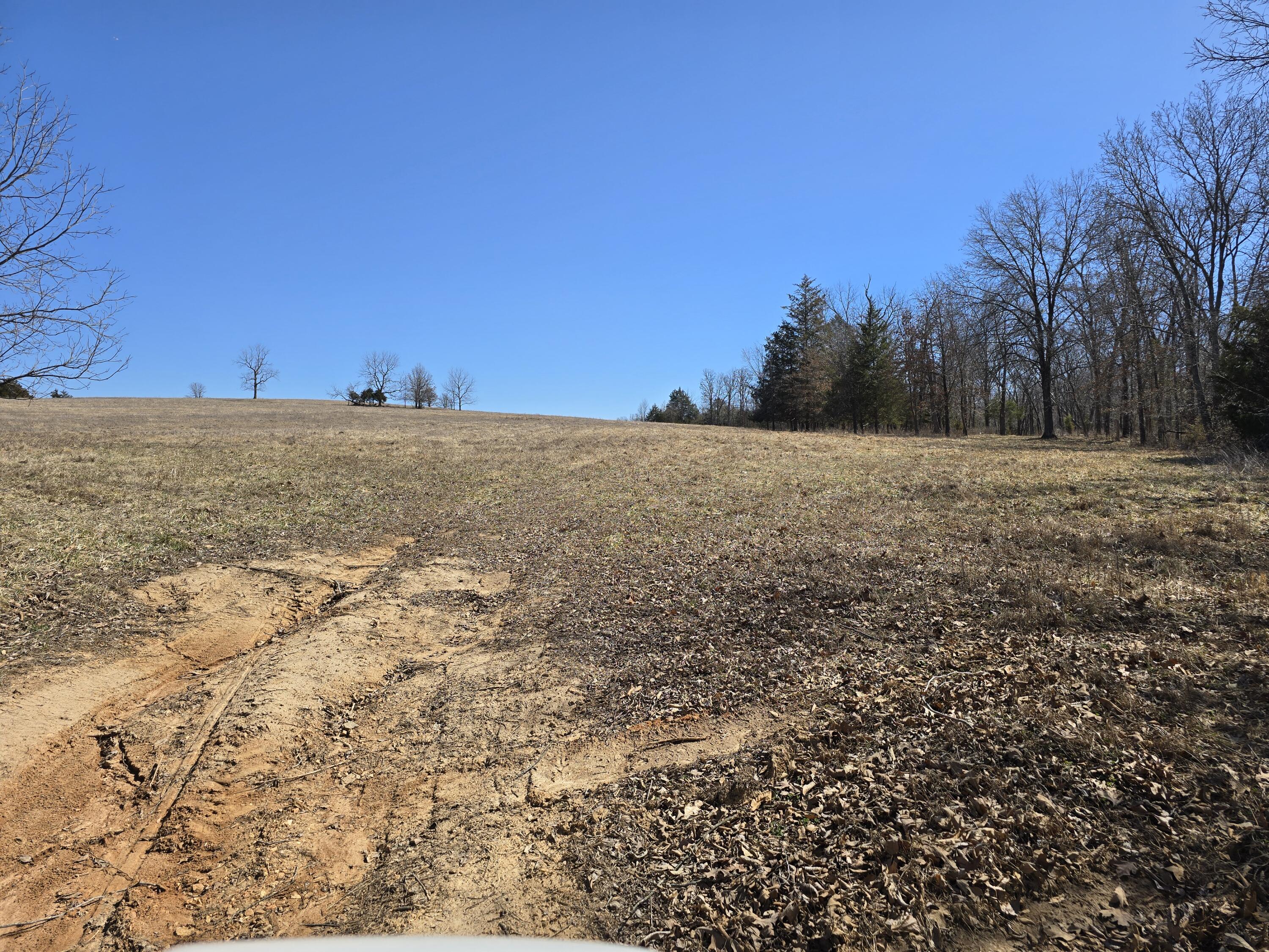 000 Tract 4 Highway 72 W Property Photo 11