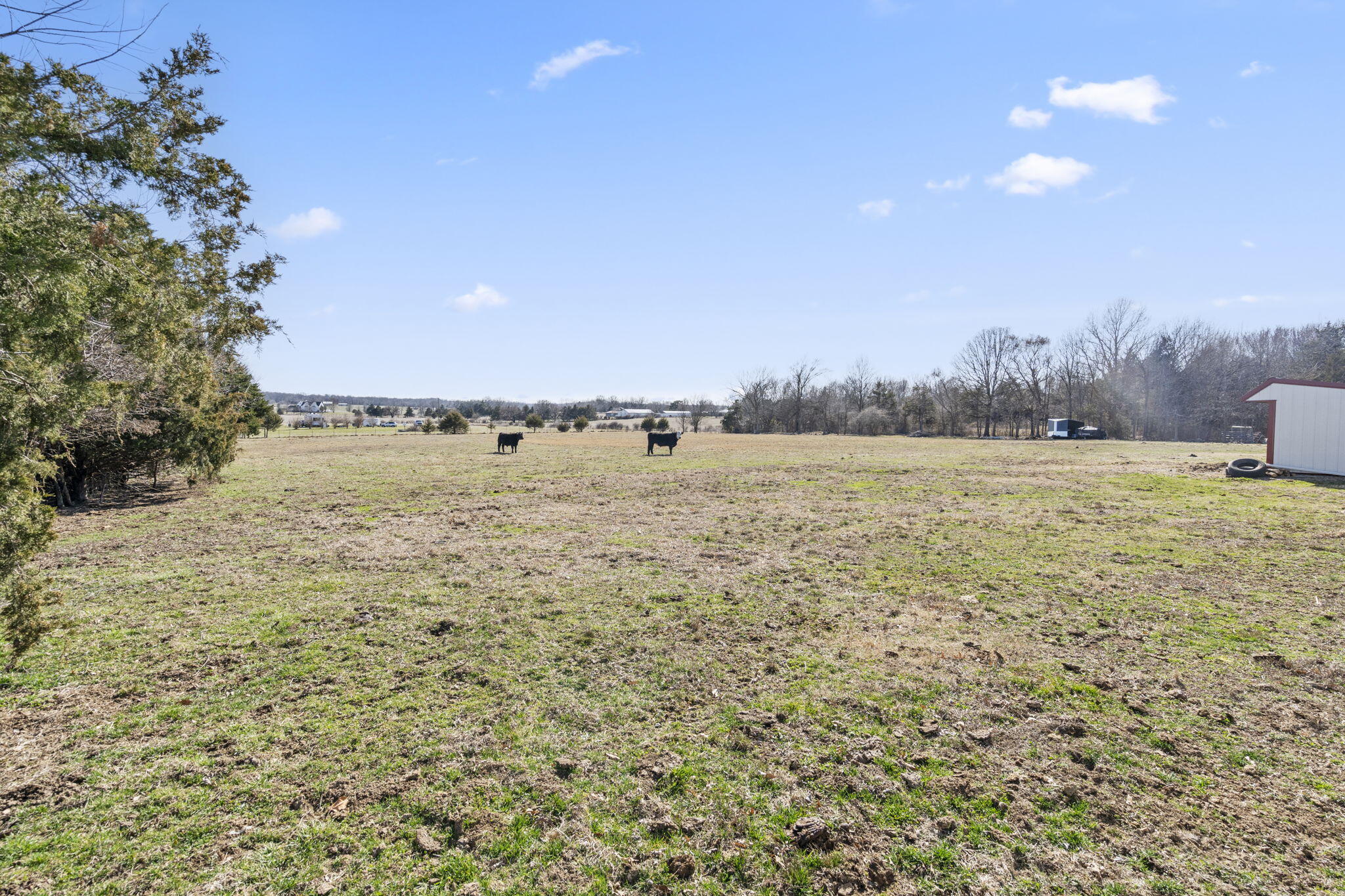 7036 East Farm Road 164 Property Photo 24