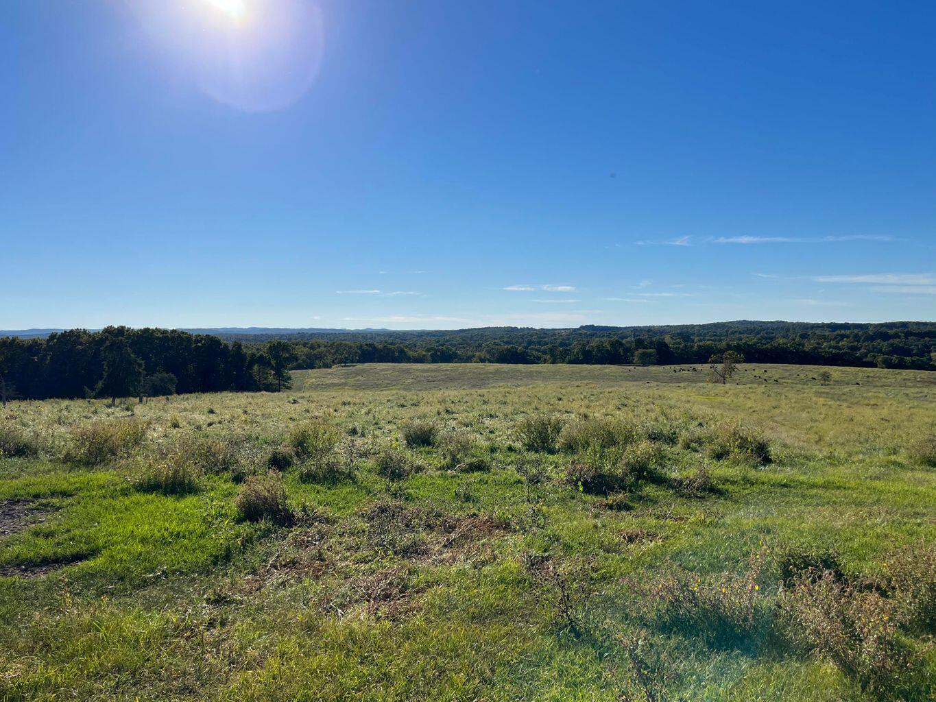 000 County Road 194 Property Photo 45