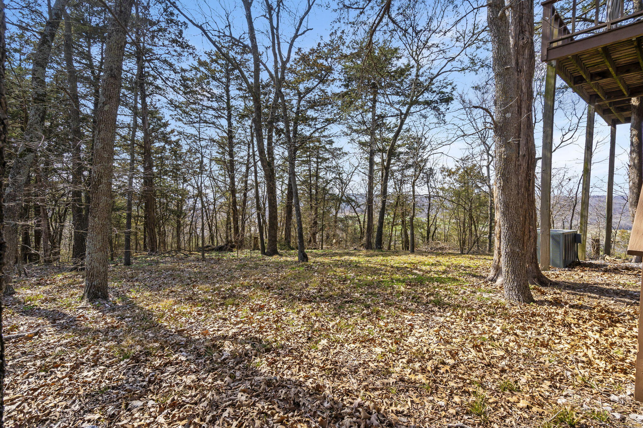 539 Thompson Lane Property Photo 33