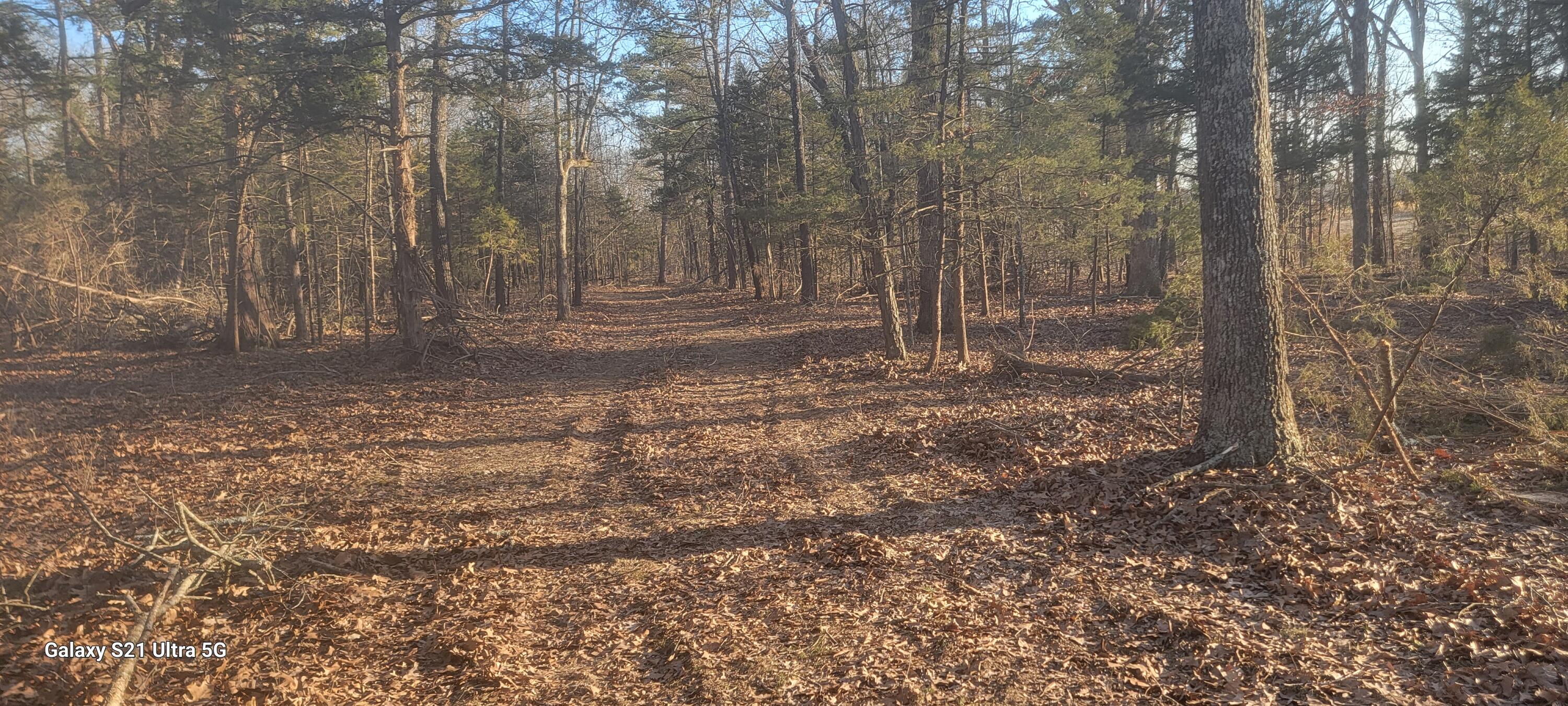 000 Mcintosh Road Property Photo 4