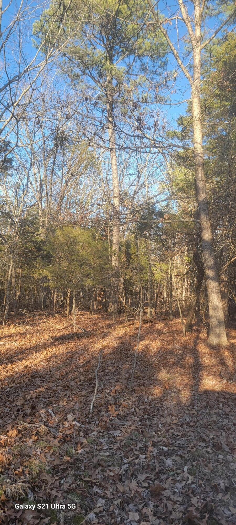 000 Mcintosh Road Property Photo 6