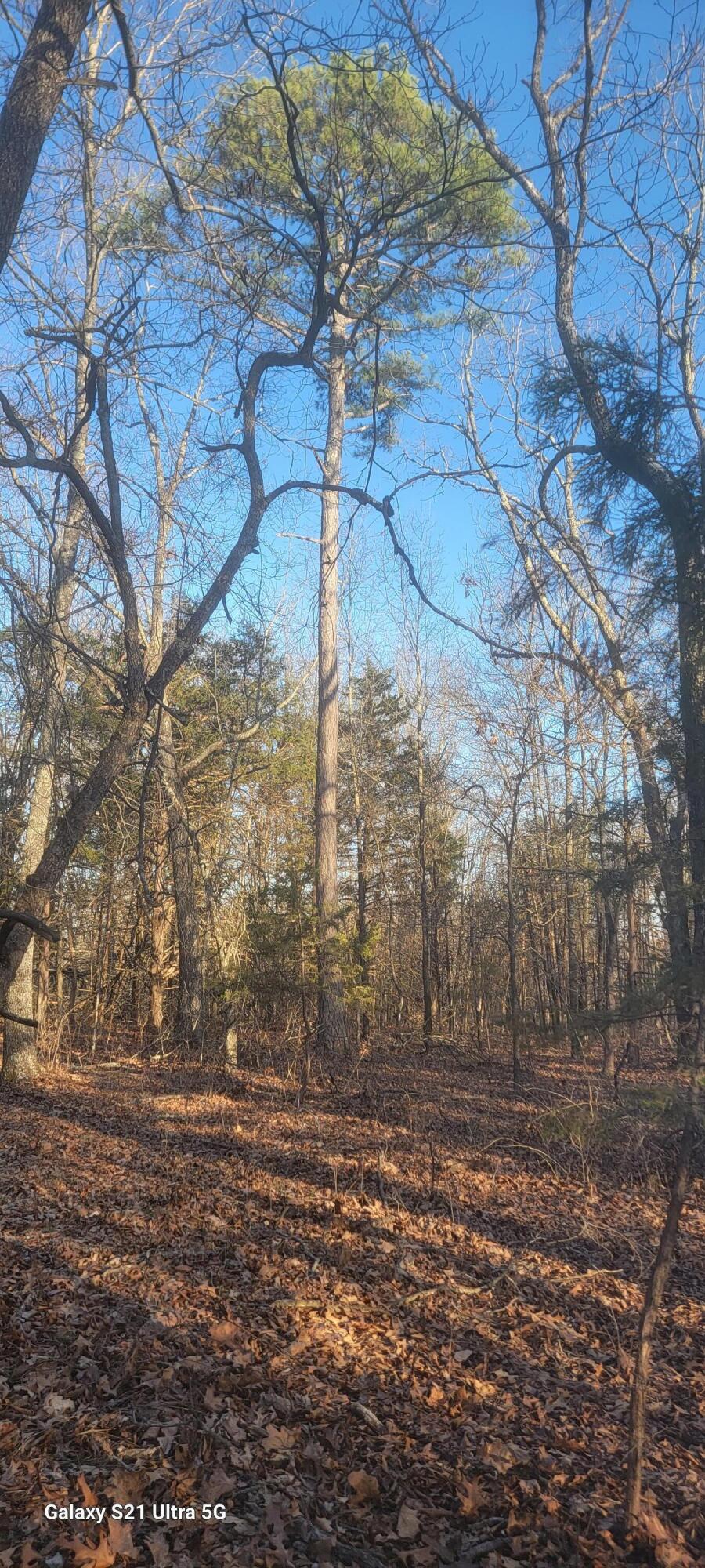 000 Mcintosh Road Property Photo 7