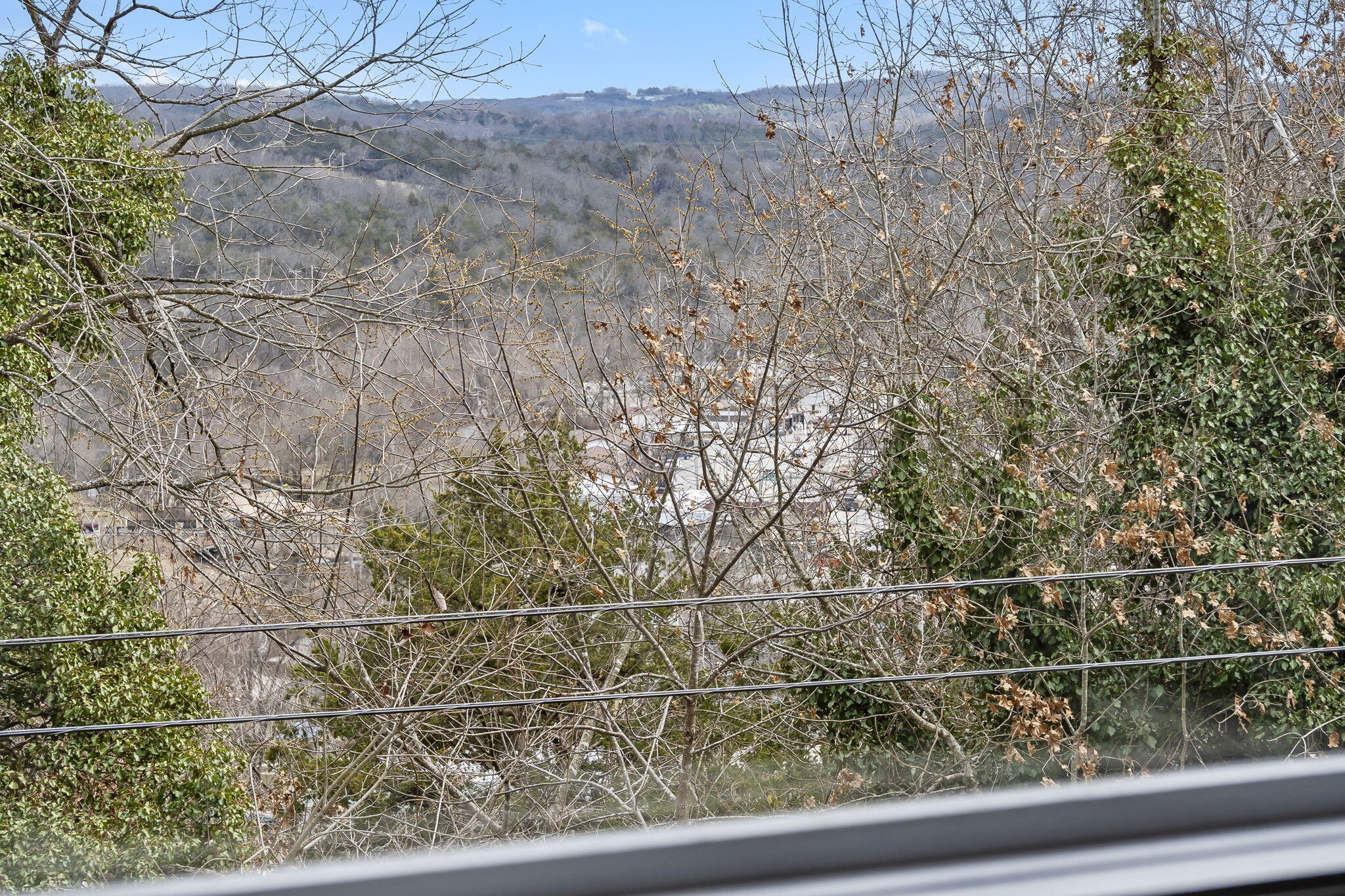 463 Taneycomo Hill Drive Property Photo 35