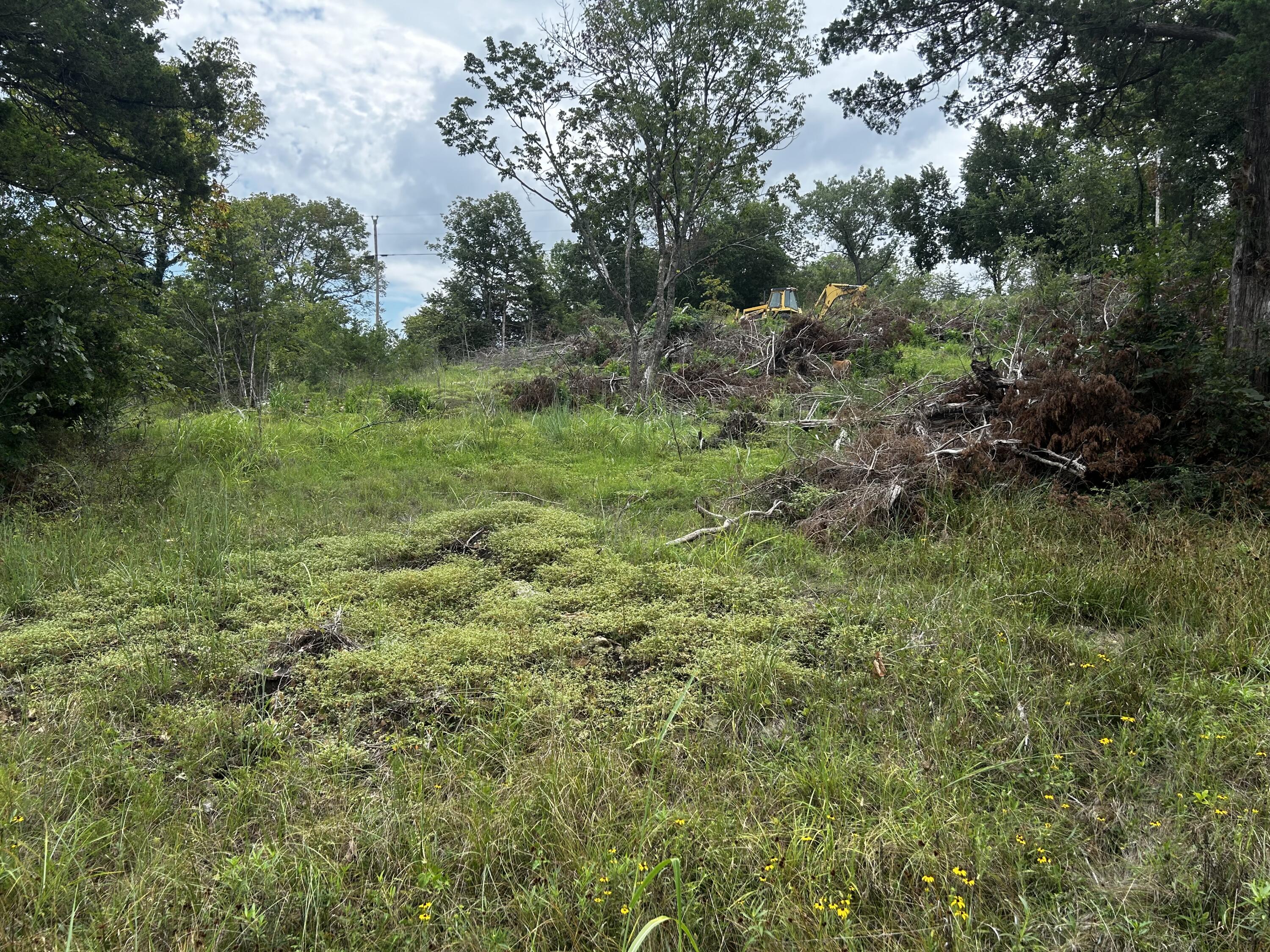 000 Cow Creek Road Property Photo 11