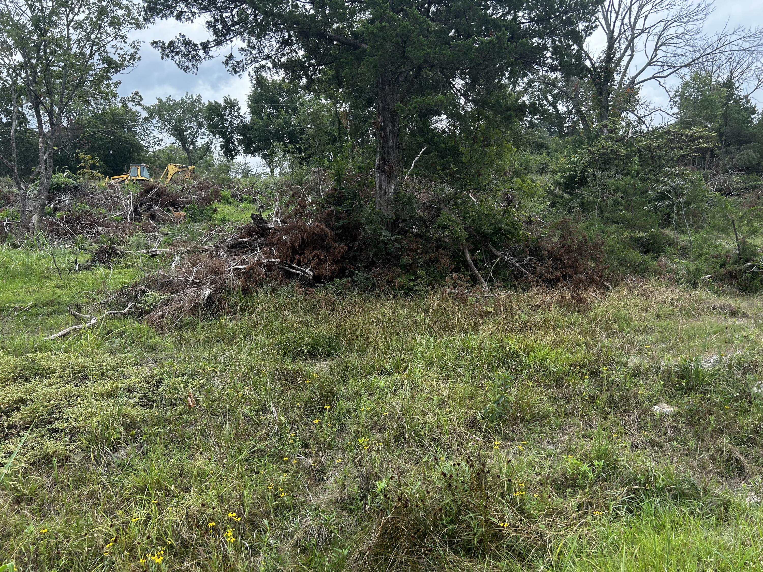 000 Cow Creek Road Property Photo 12