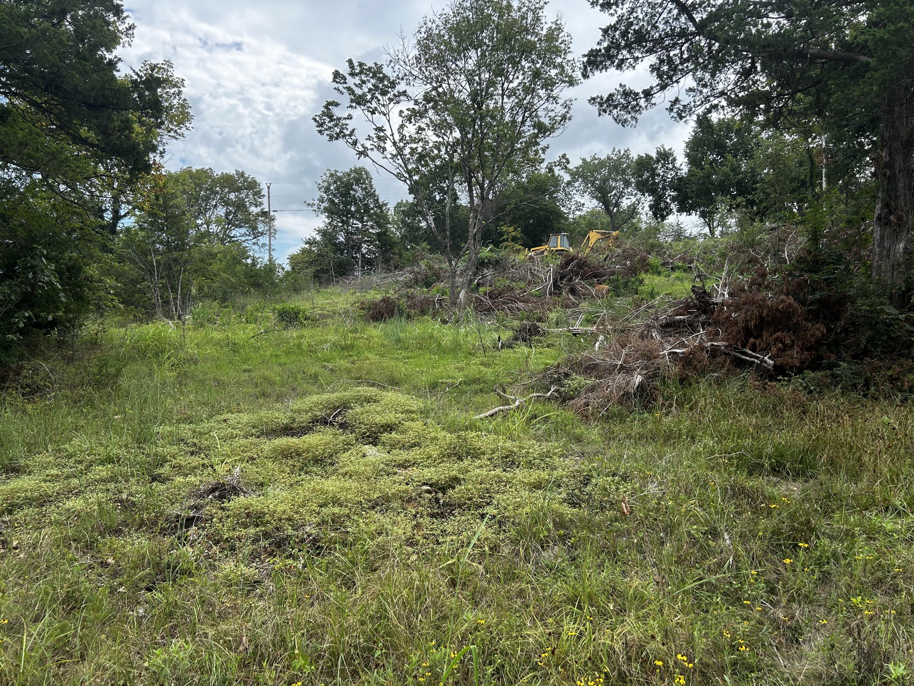 000 Cow Creek Road Property Photo 13