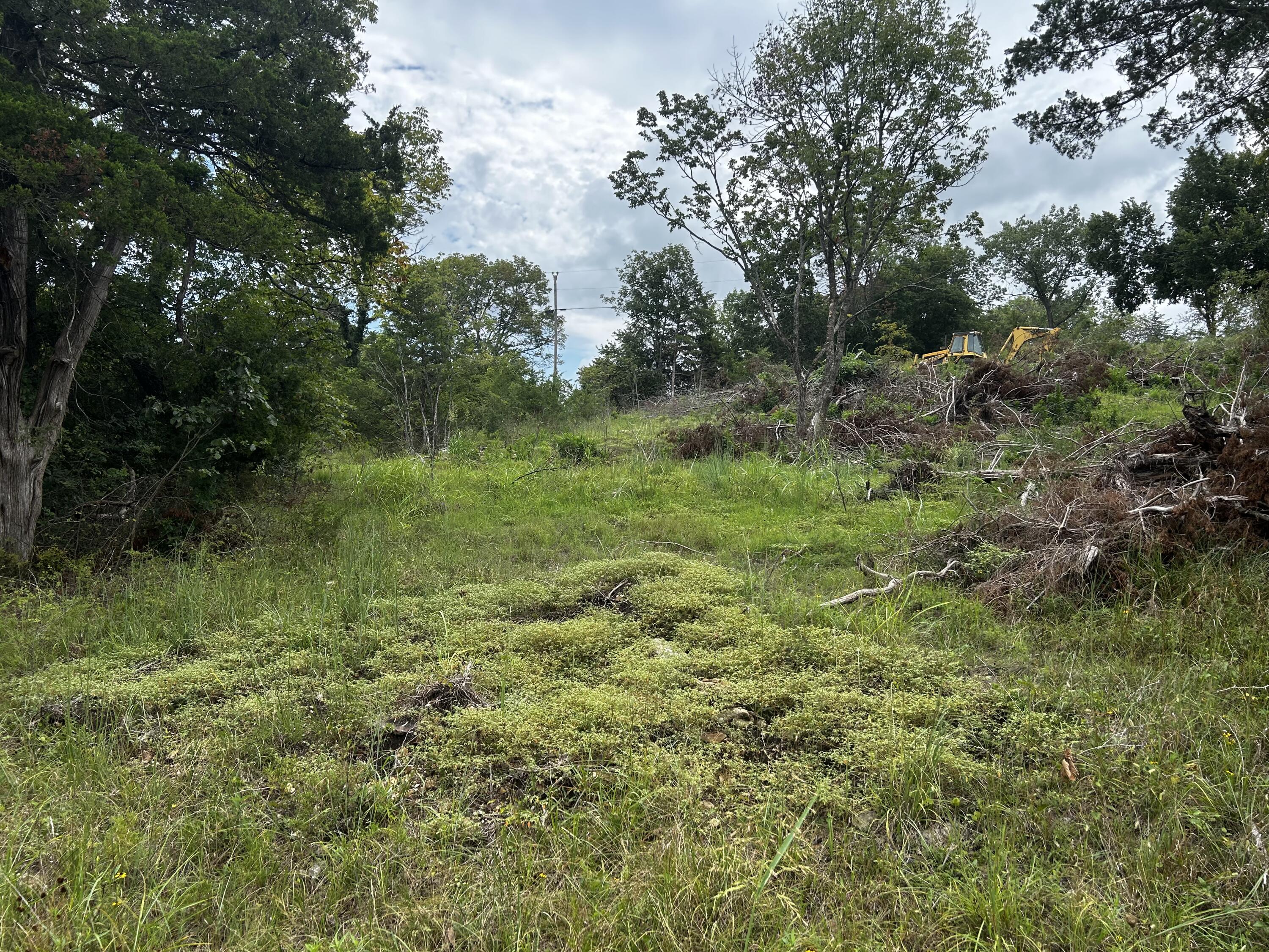 000 Cow Creek Road Property Photo 16