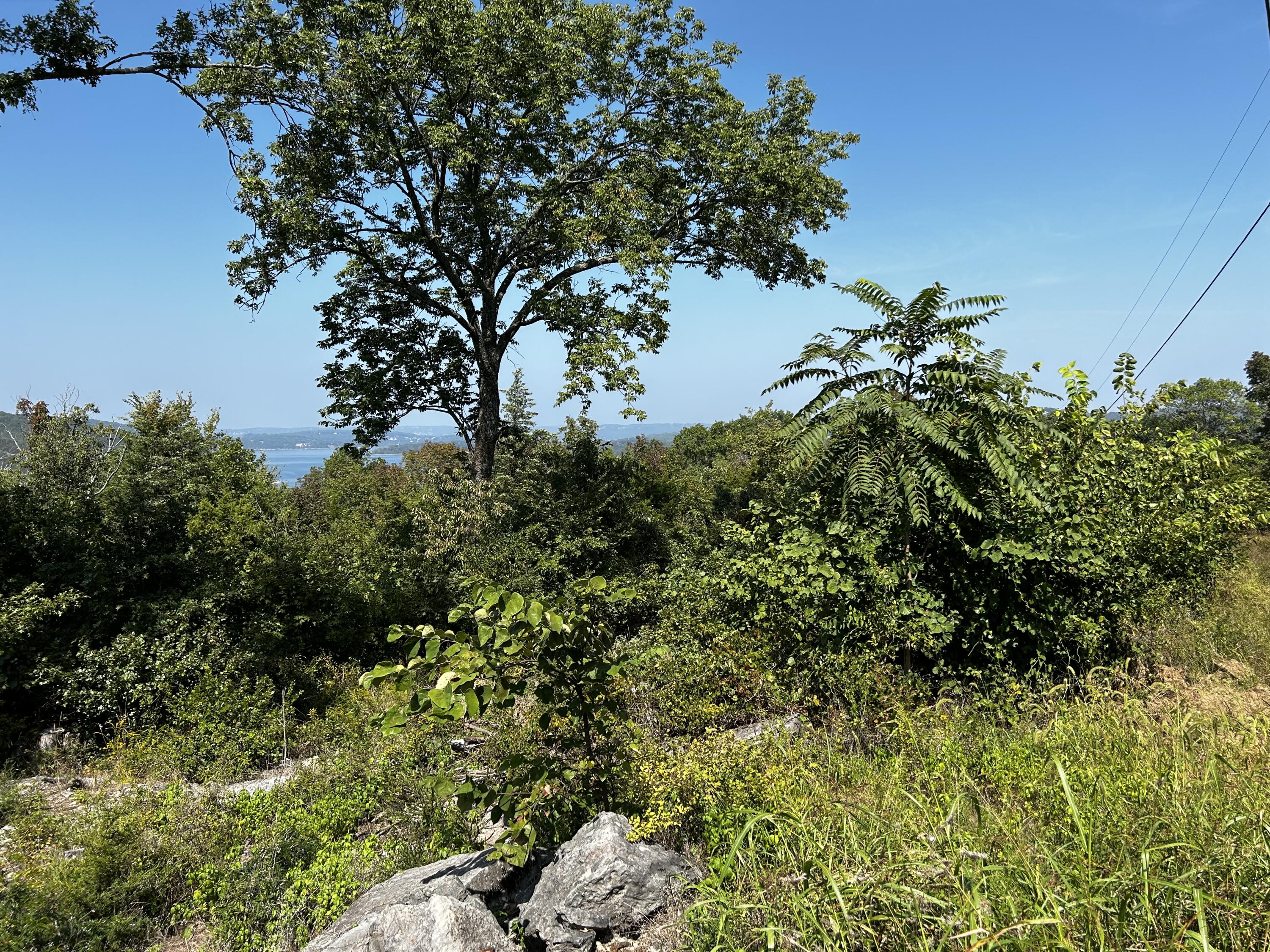 000 Cow Creek Road Property Photo 21