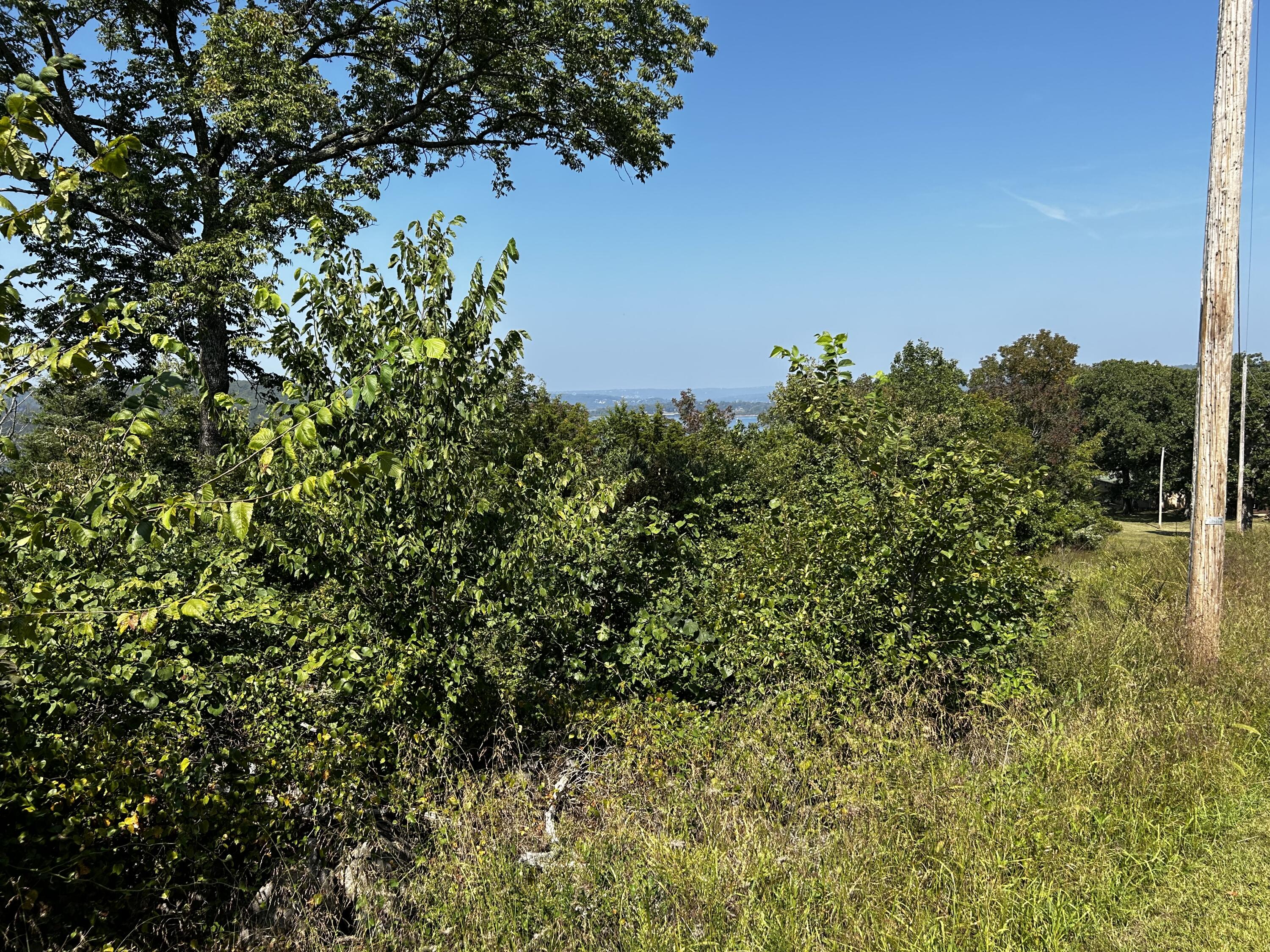 000 Cow Creek Road Property Photo 22