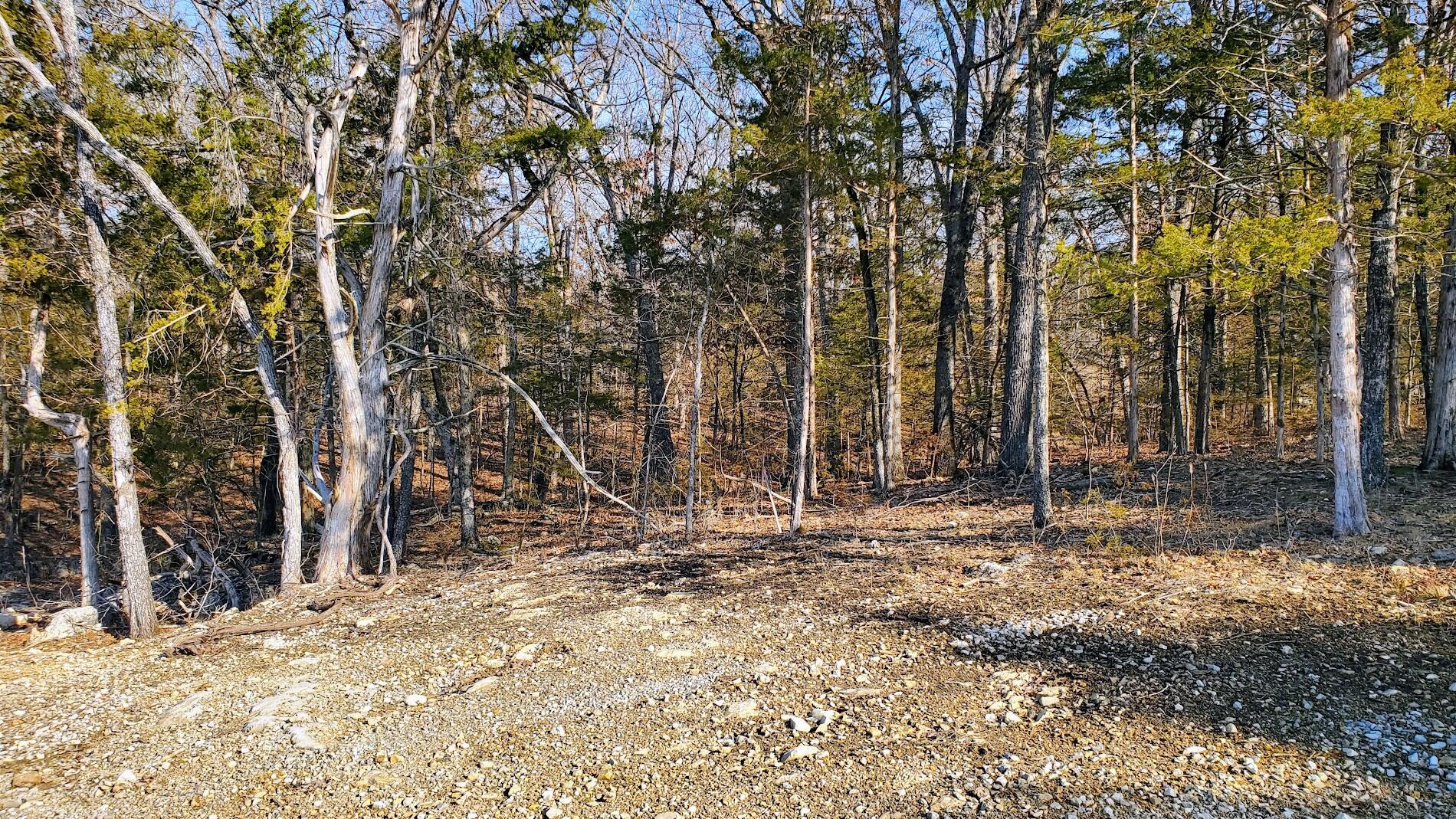 000 Lot 95 Summer Breeze Property Photo 1