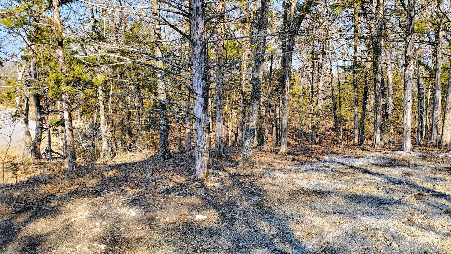 000 Lot 95 Summer Breeze Property Photo 2