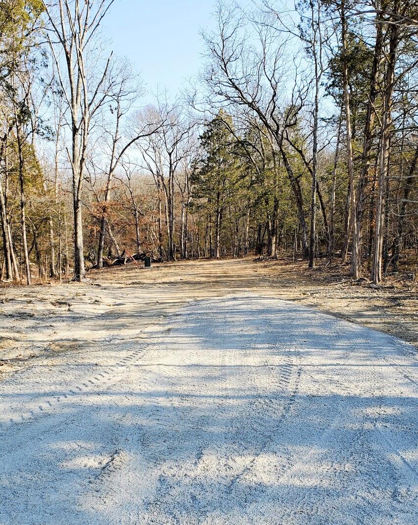 000 Lot 95 Summer Breeze Property Photo 5