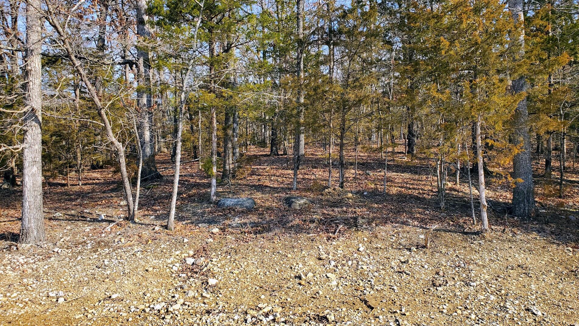 000 Lot 98 Summer Breeze Lane Property Photo 1