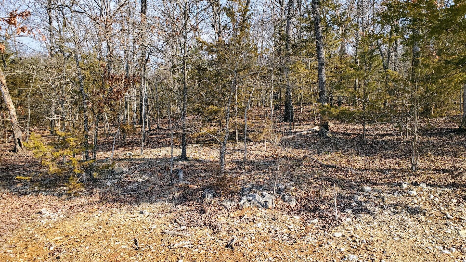 000 Lot 98 Summer Breeze Lane Property Photo 2