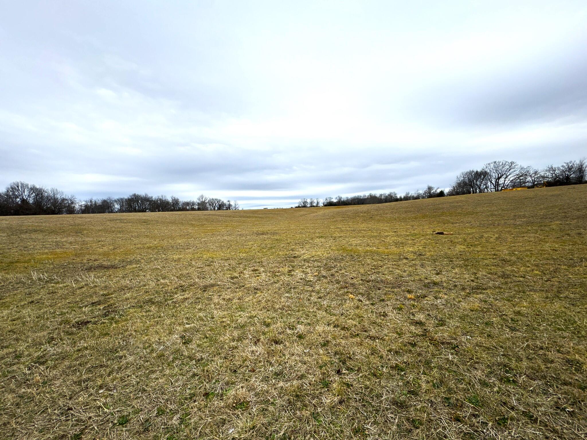 000 State Highway Ee (8 Acres) Property Photo 8