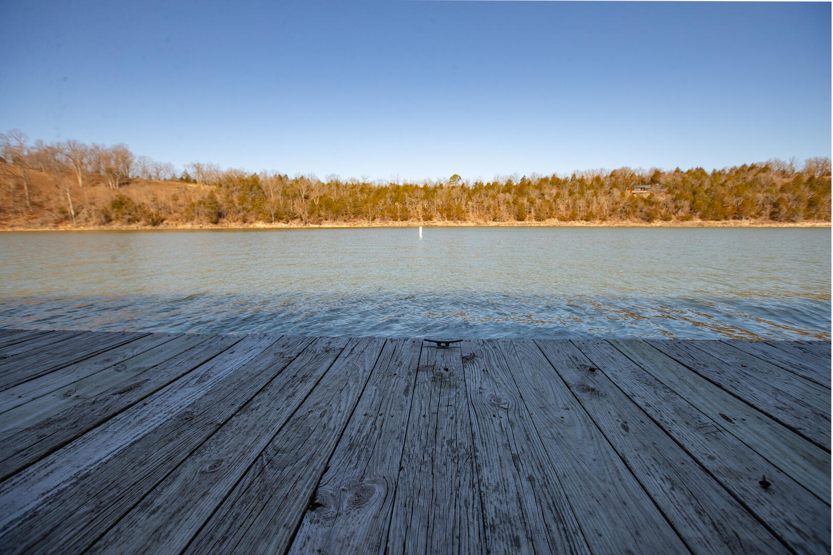 28007 Fox Fire Lane Property Photo 53