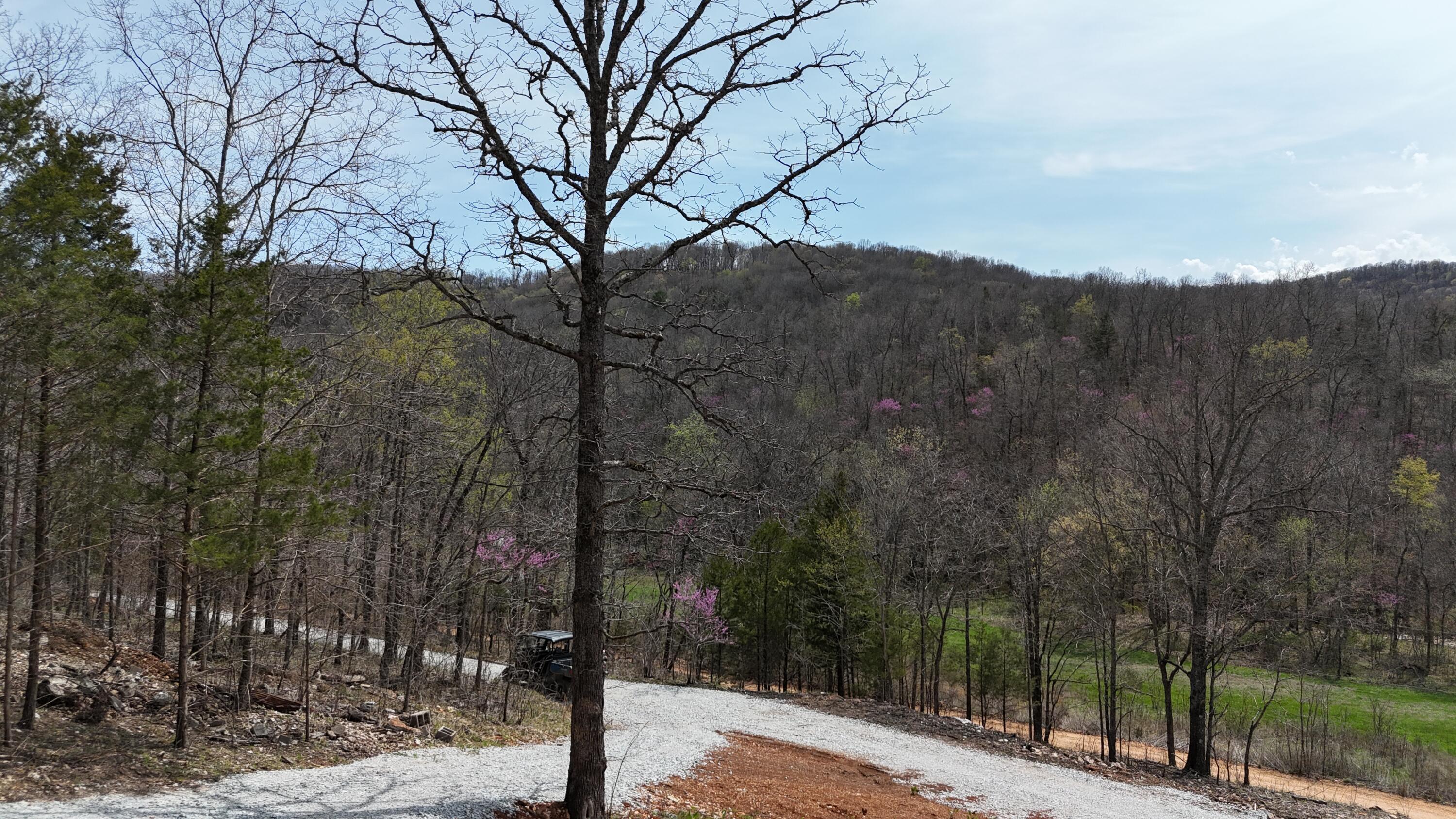 14510 Old Cricket Road West Property Photo 32