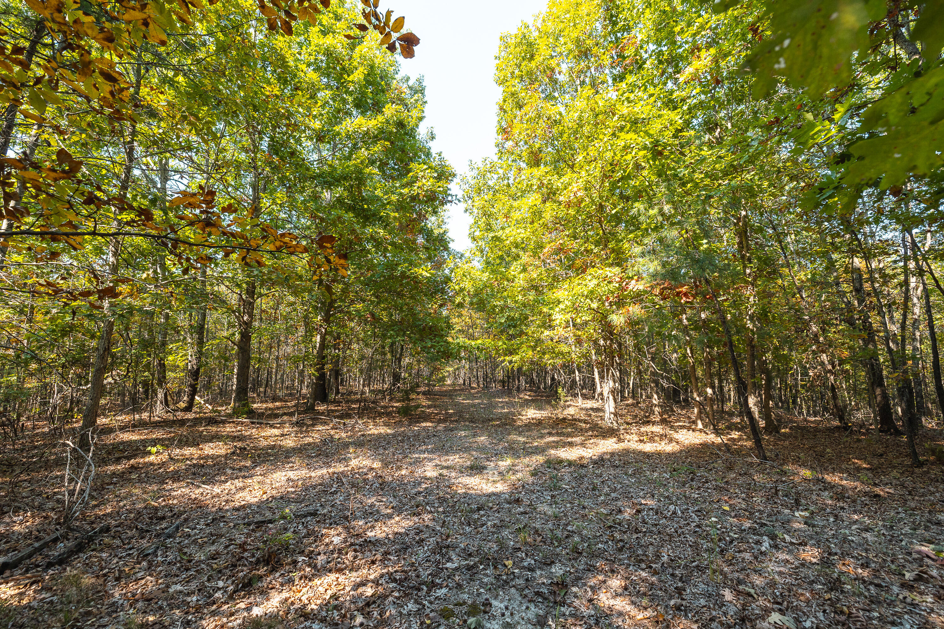 000 Highway B Property Photo 20
