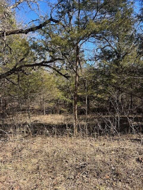 7789 West Co Road Property Photo 5