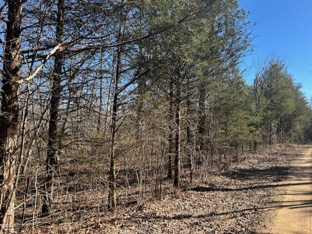 7789 East Co Road Property Photo 2