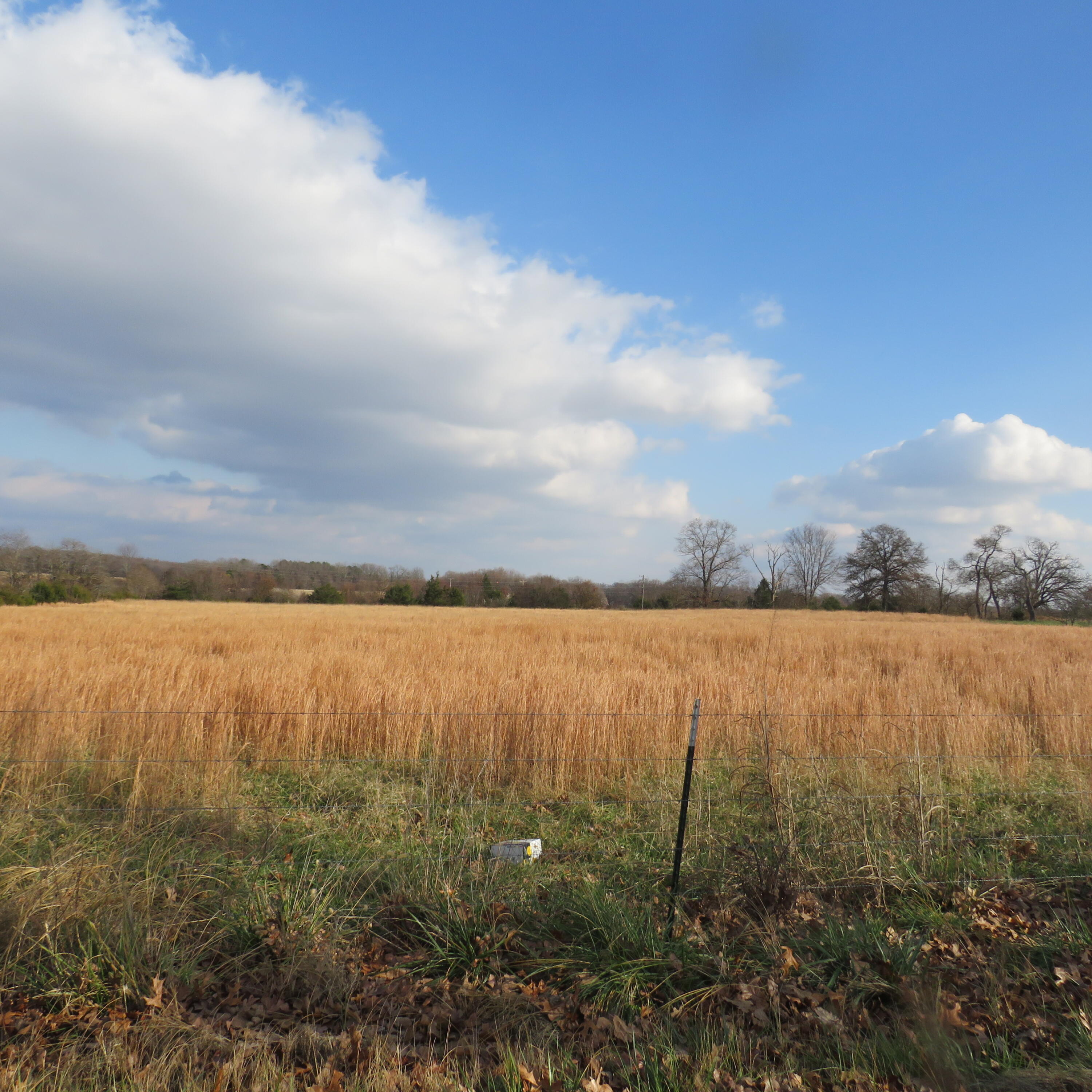 0000 County Road 1510 Property Photo